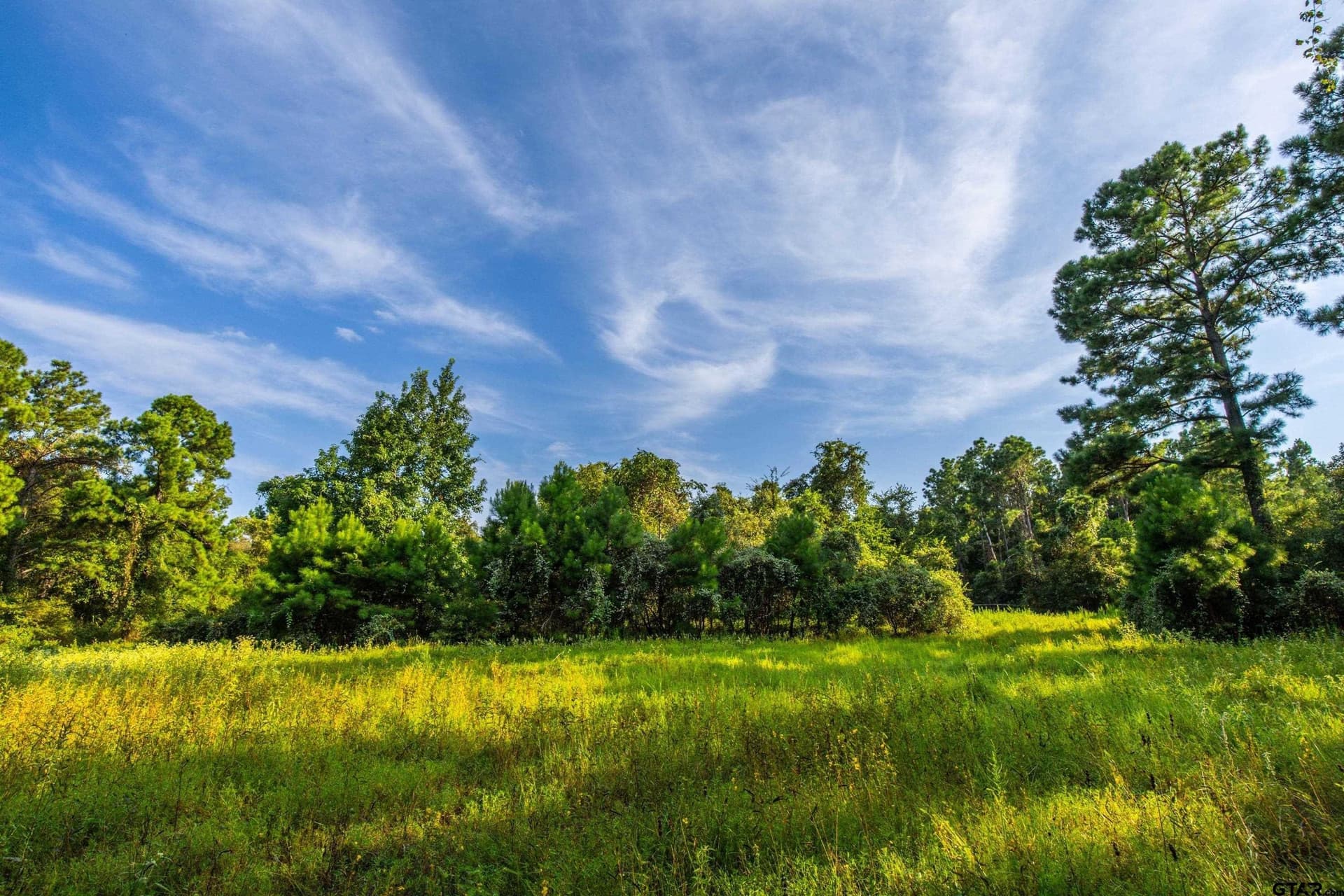 92 acres in Henderson County - photo 2