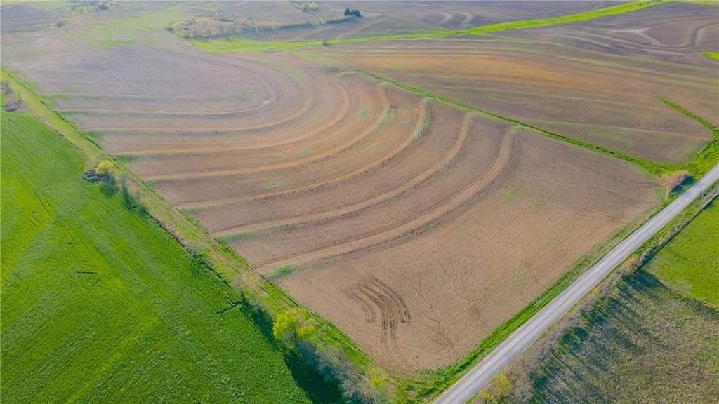 60.49 acres in Hill County gallery image 4