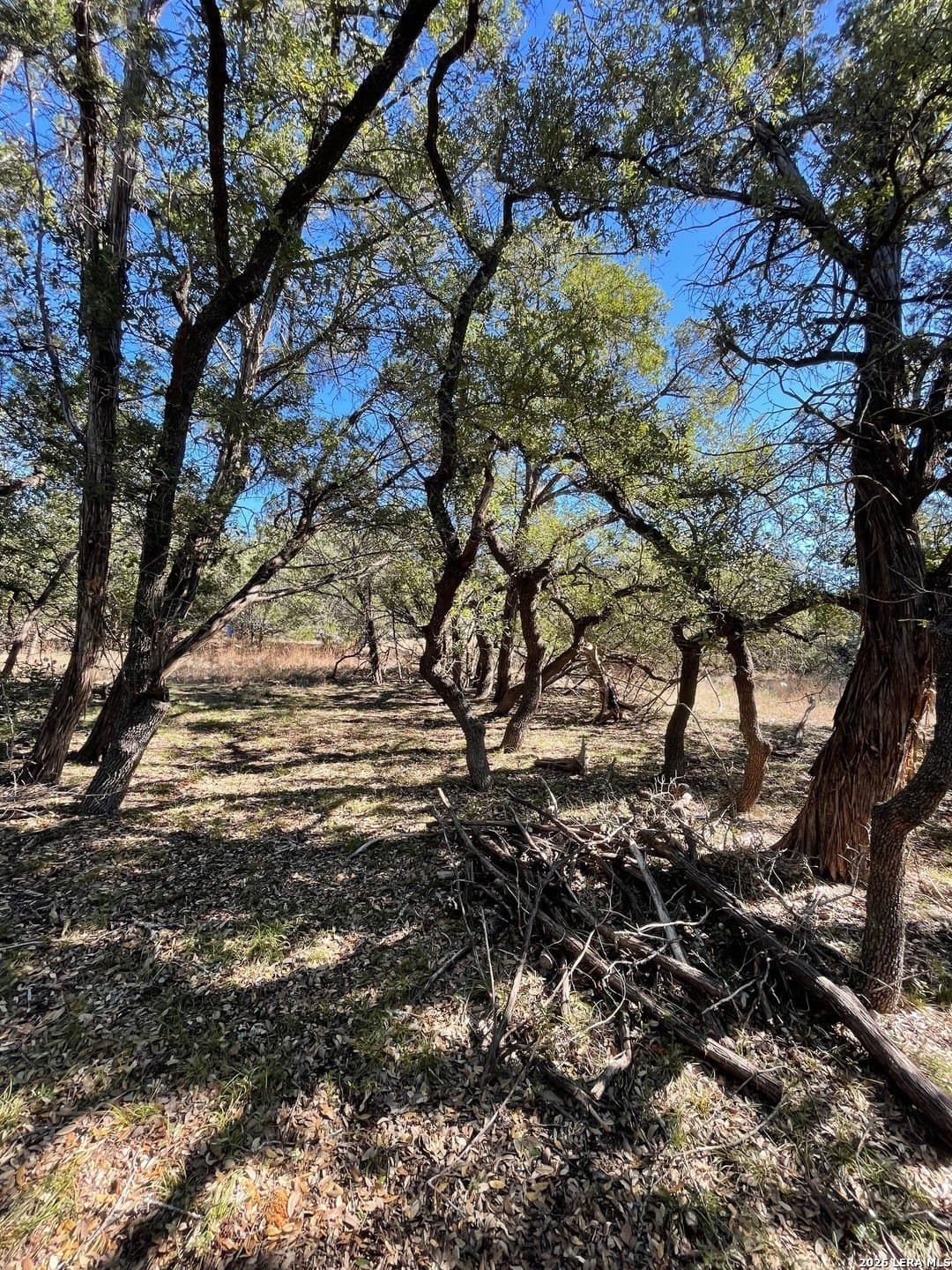 0.24 acres in Comal County featured view