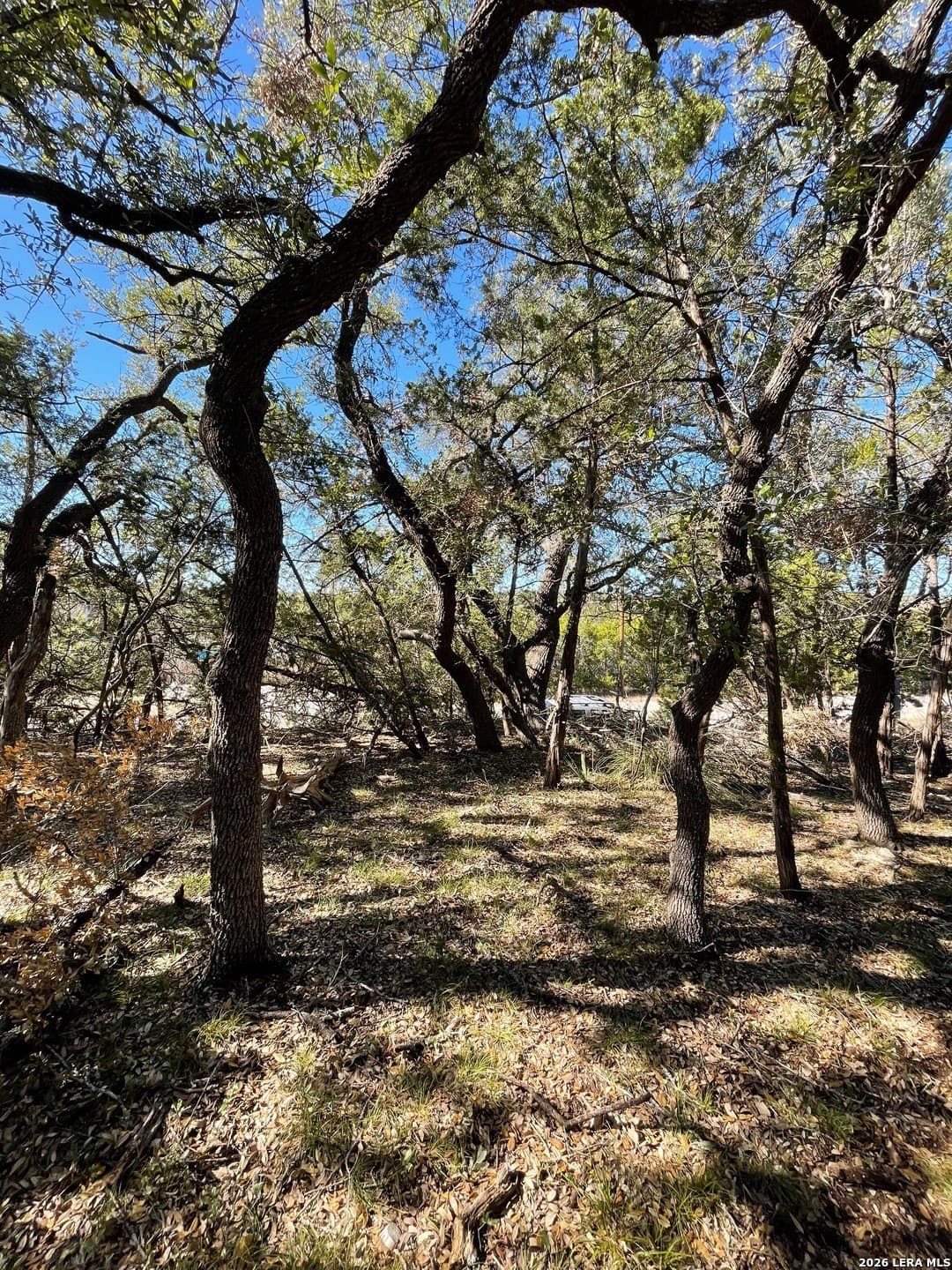 0.24 acres in Comal County gallery image 4
