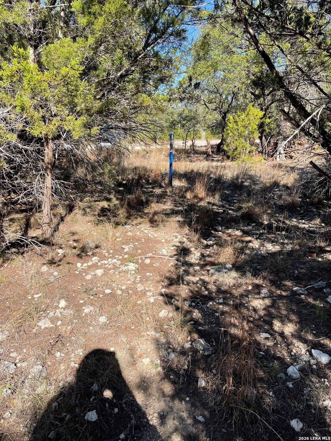 0.24 acres in Comal County gallery image 3