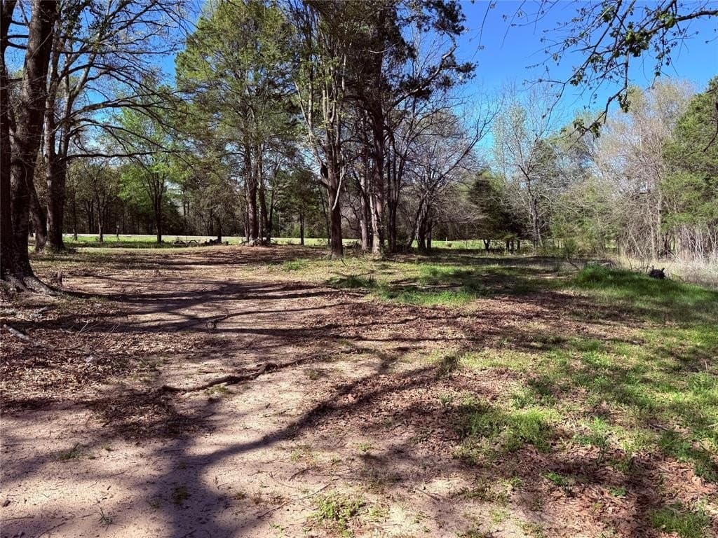 22.06 acres in Wood County gallery image 3