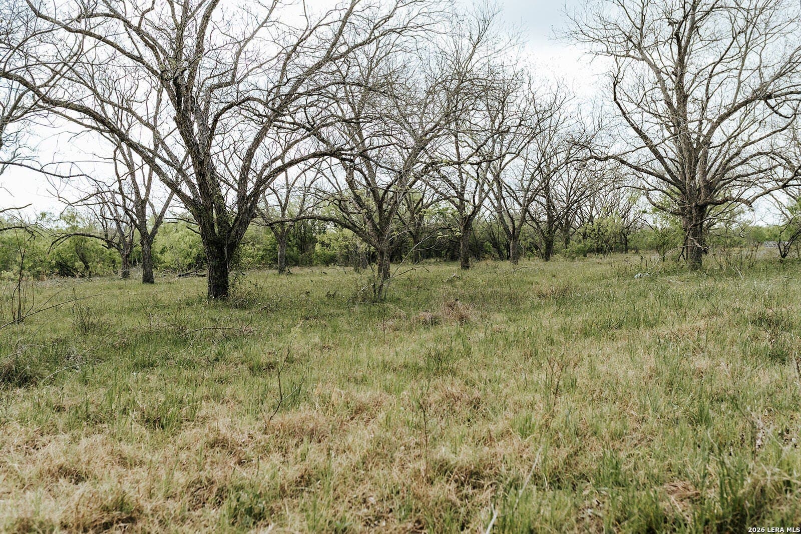 145.7 acres in Guadalupe County - photo 9