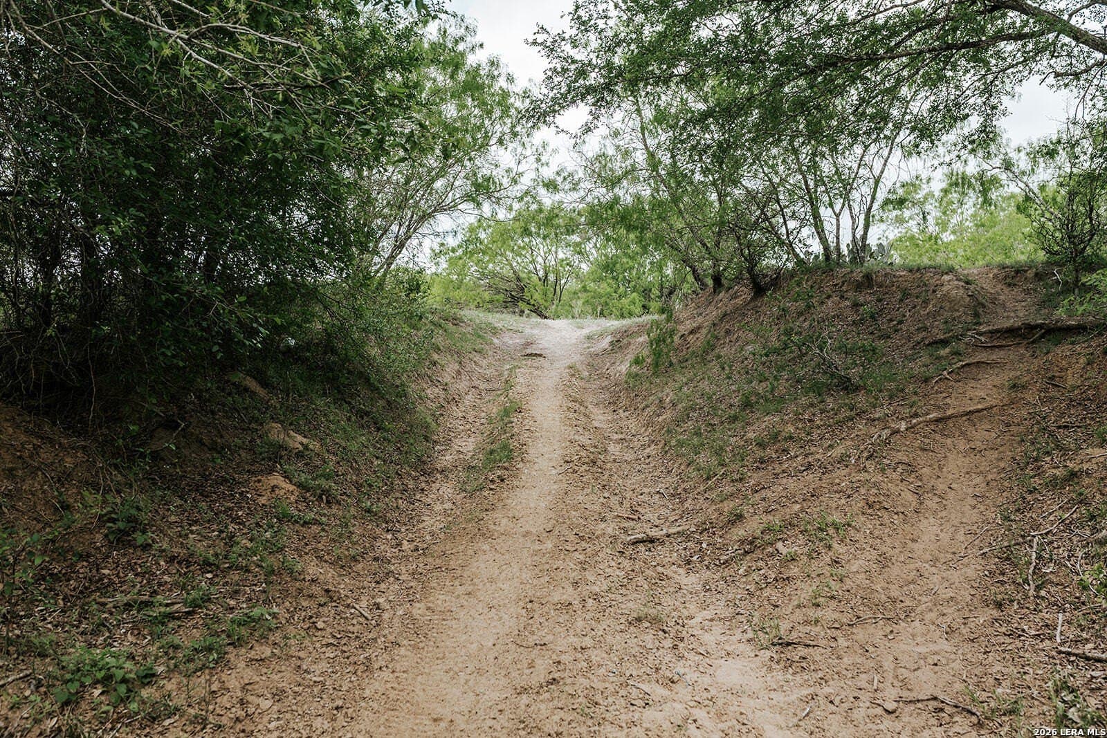 145.7 acres in Guadalupe County - photo 13