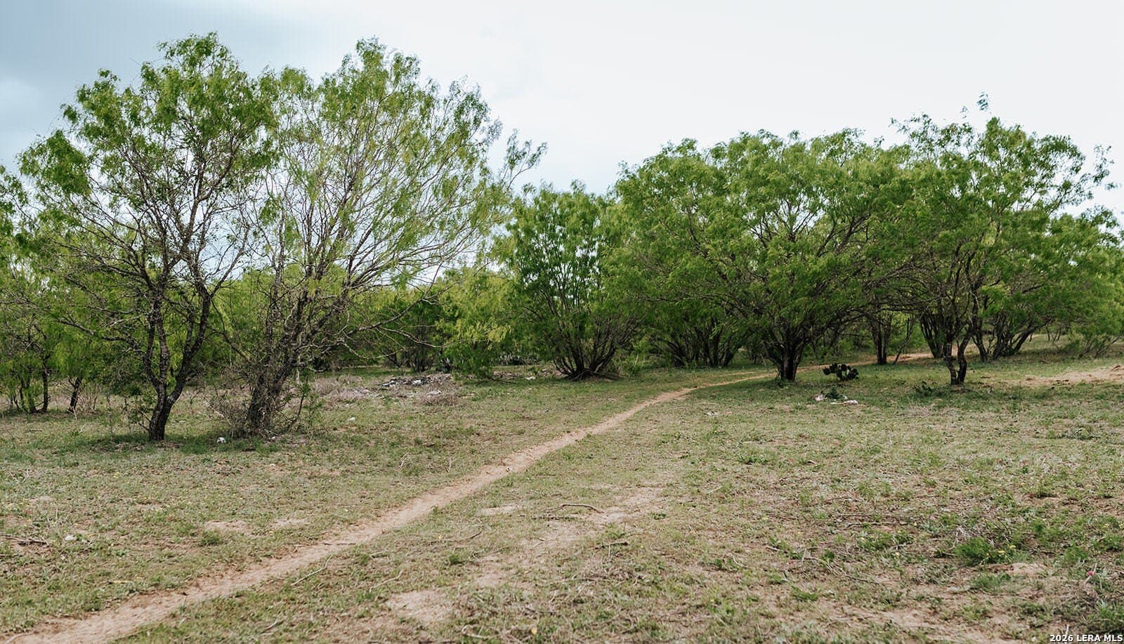 145.7 acres in Guadalupe County - photo 19