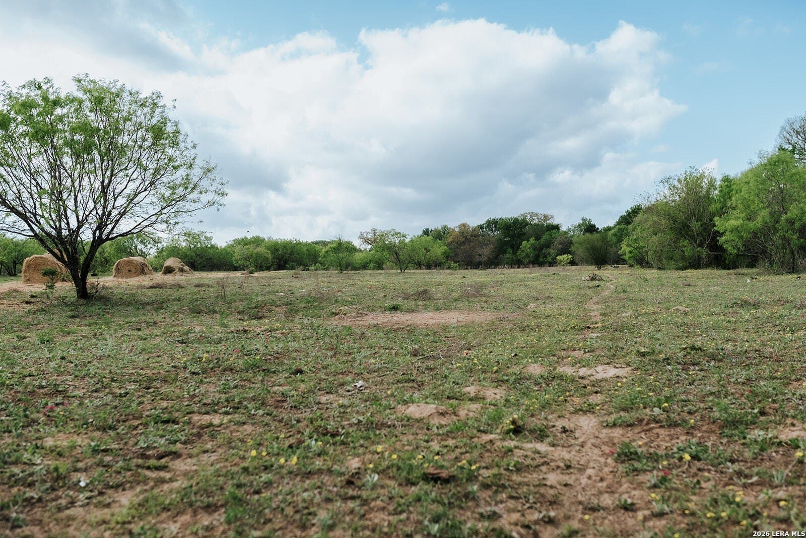 145.7 acres in Guadalupe County - photo 21
