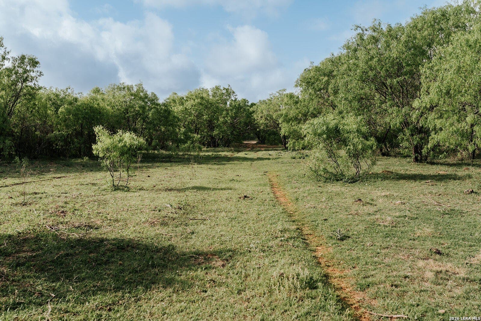 145.7 acres in Guadalupe County - photo 43