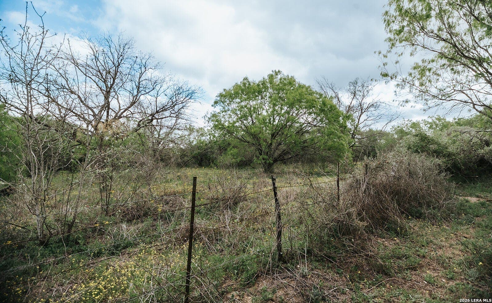145.7 acres in Guadalupe County - photo 15