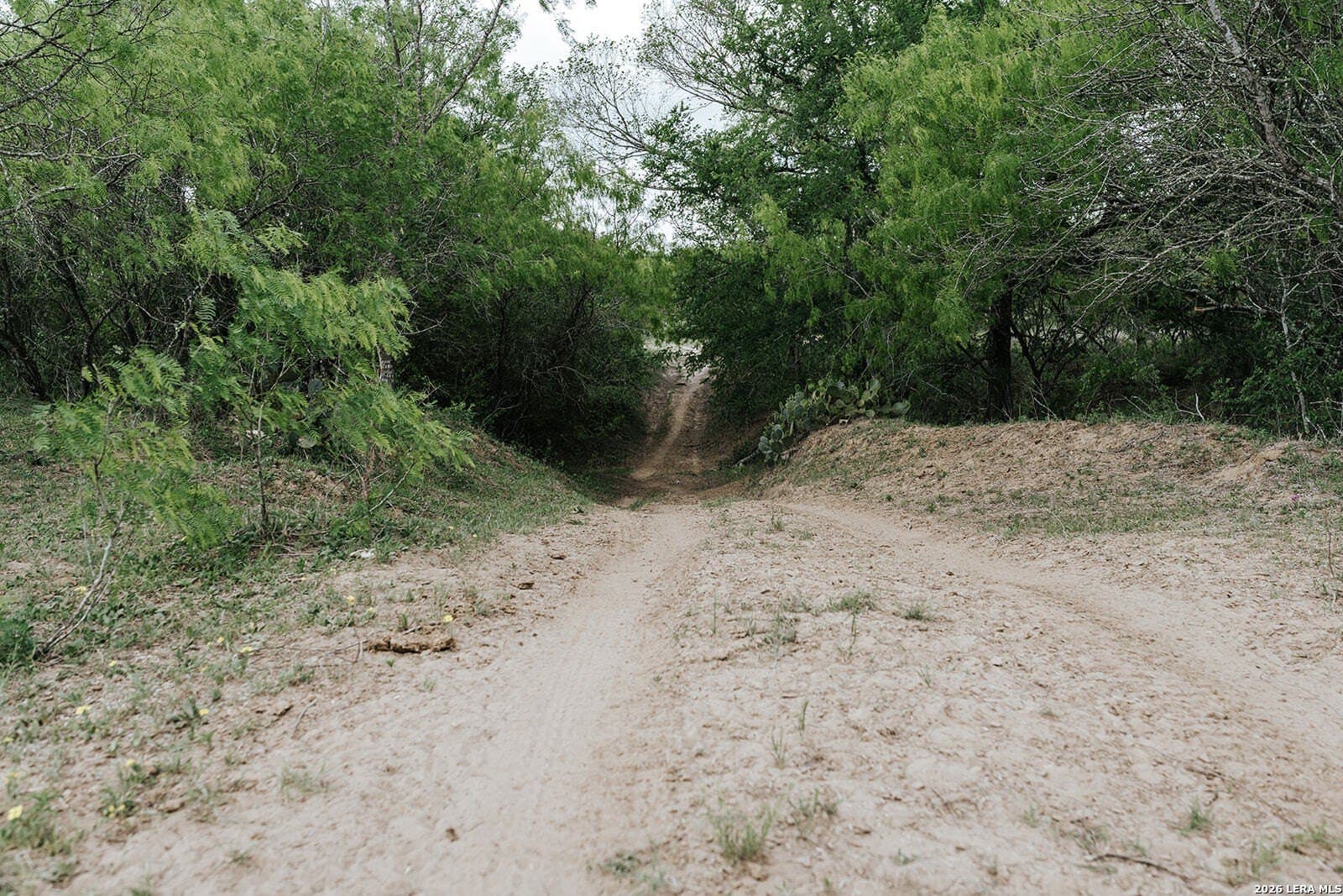 145.7 acres in Guadalupe County - photo 18