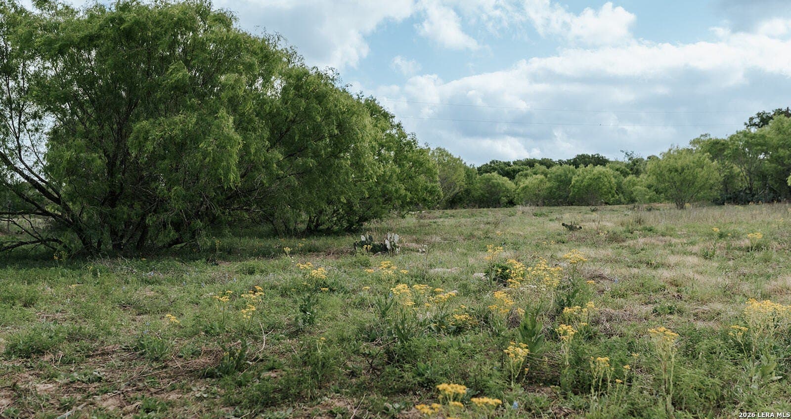 145.7 acres in Guadalupe County - photo 29