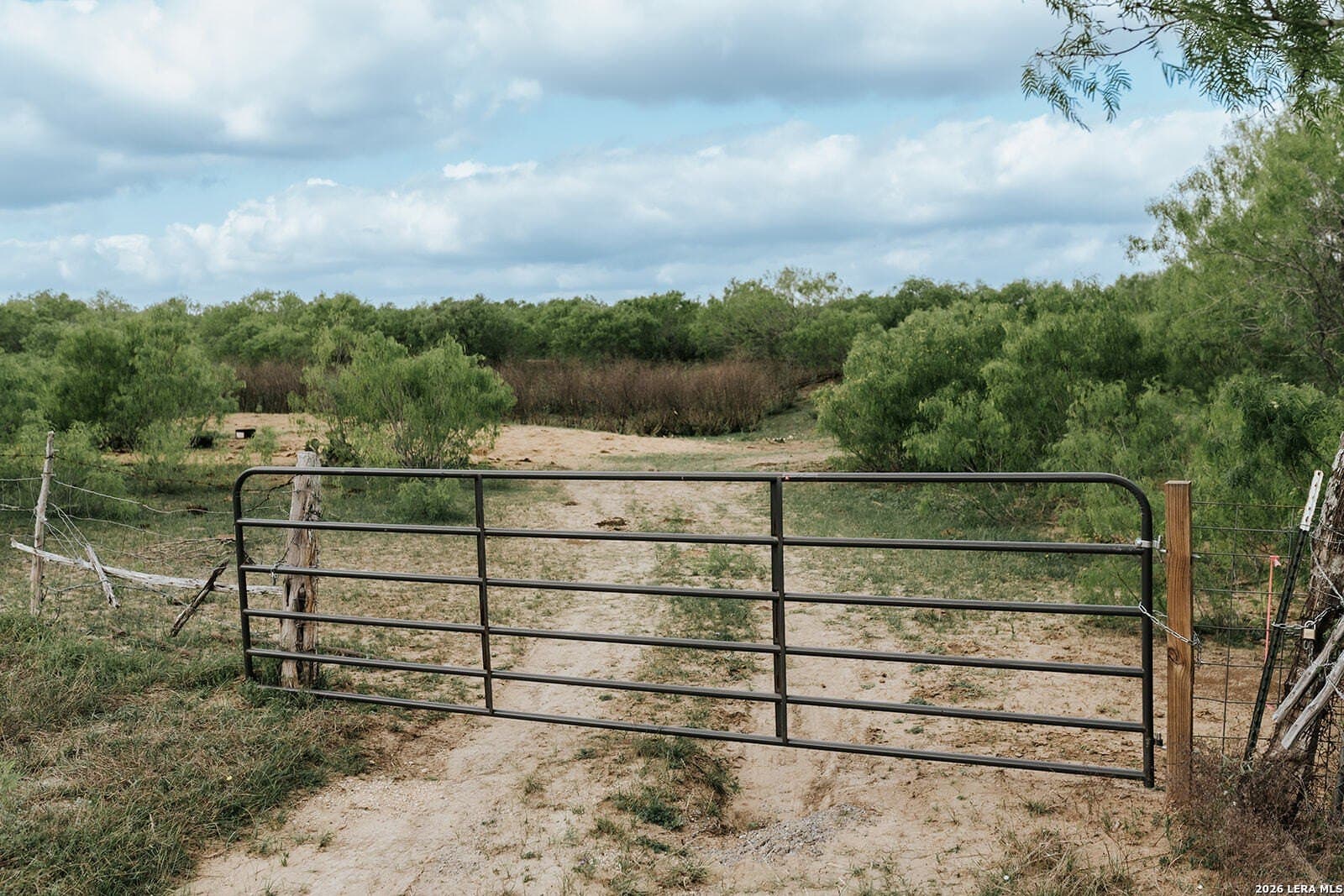 145.7 acres in Guadalupe County - photo 25