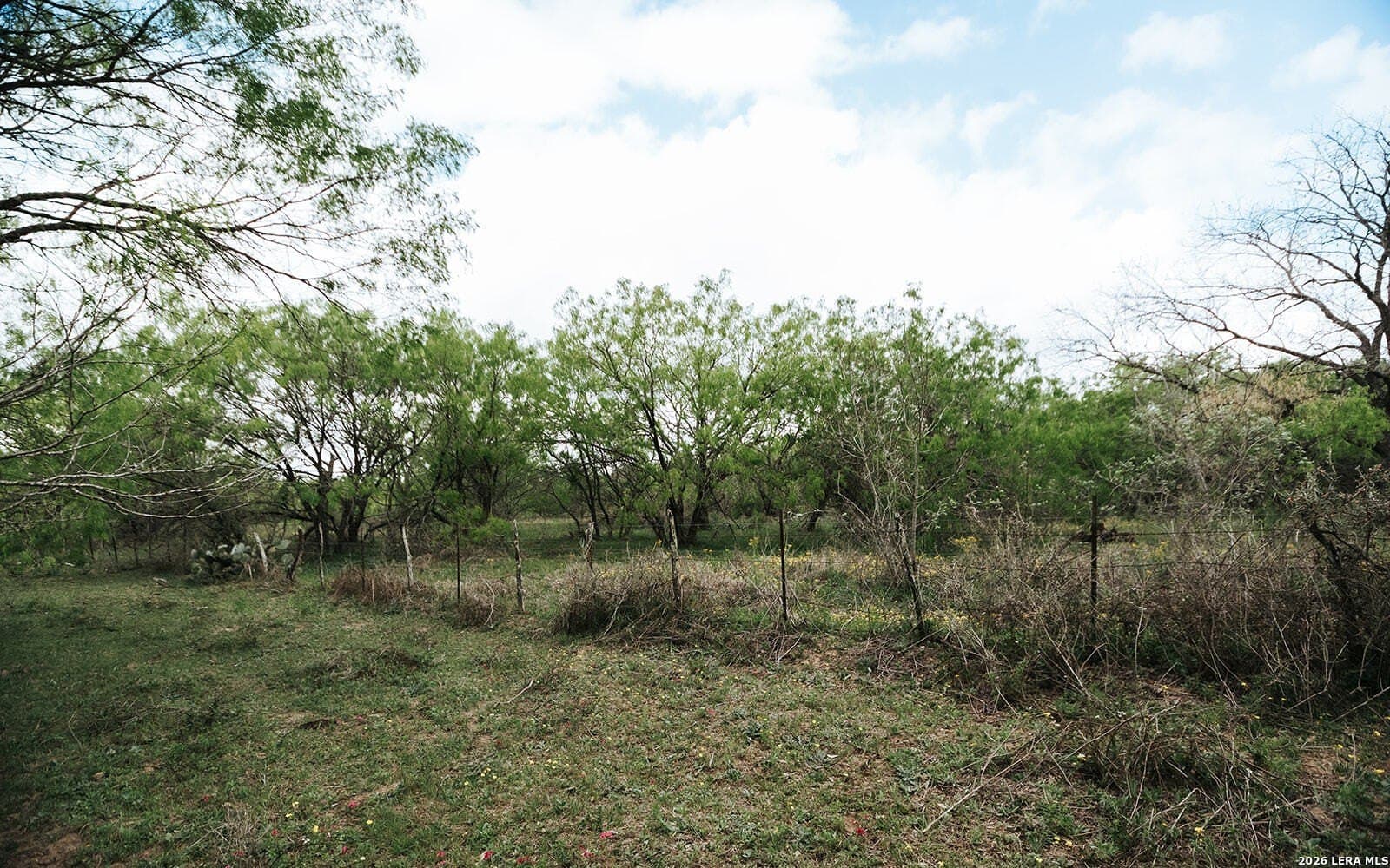 145.7 acres in Guadalupe County - photo 16