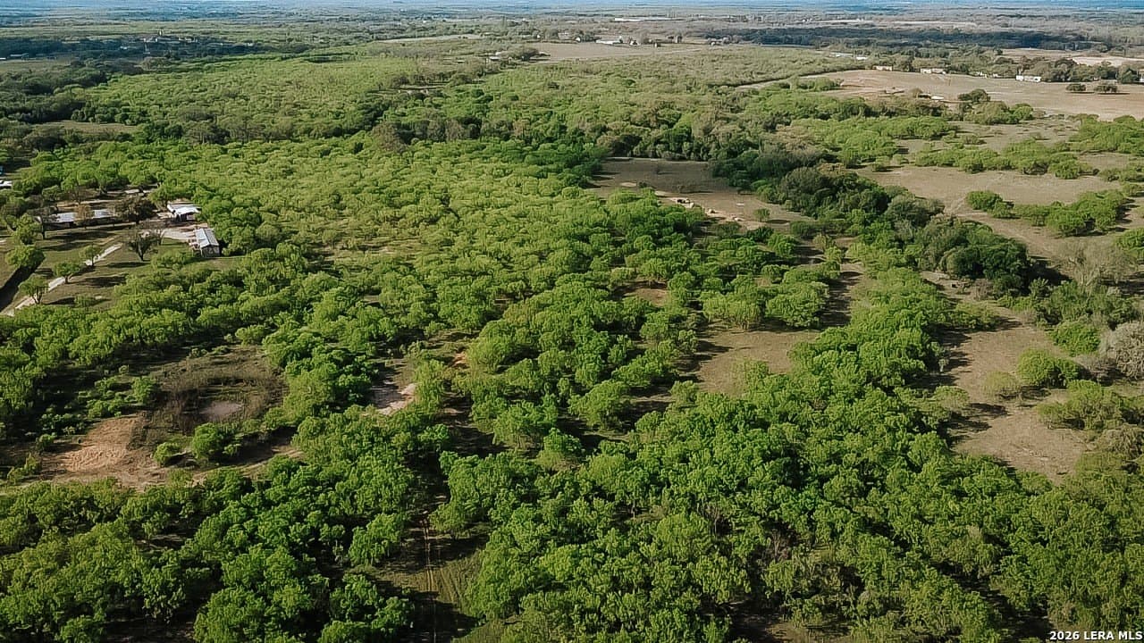 145.7 acres in Guadalupe County - photo 14