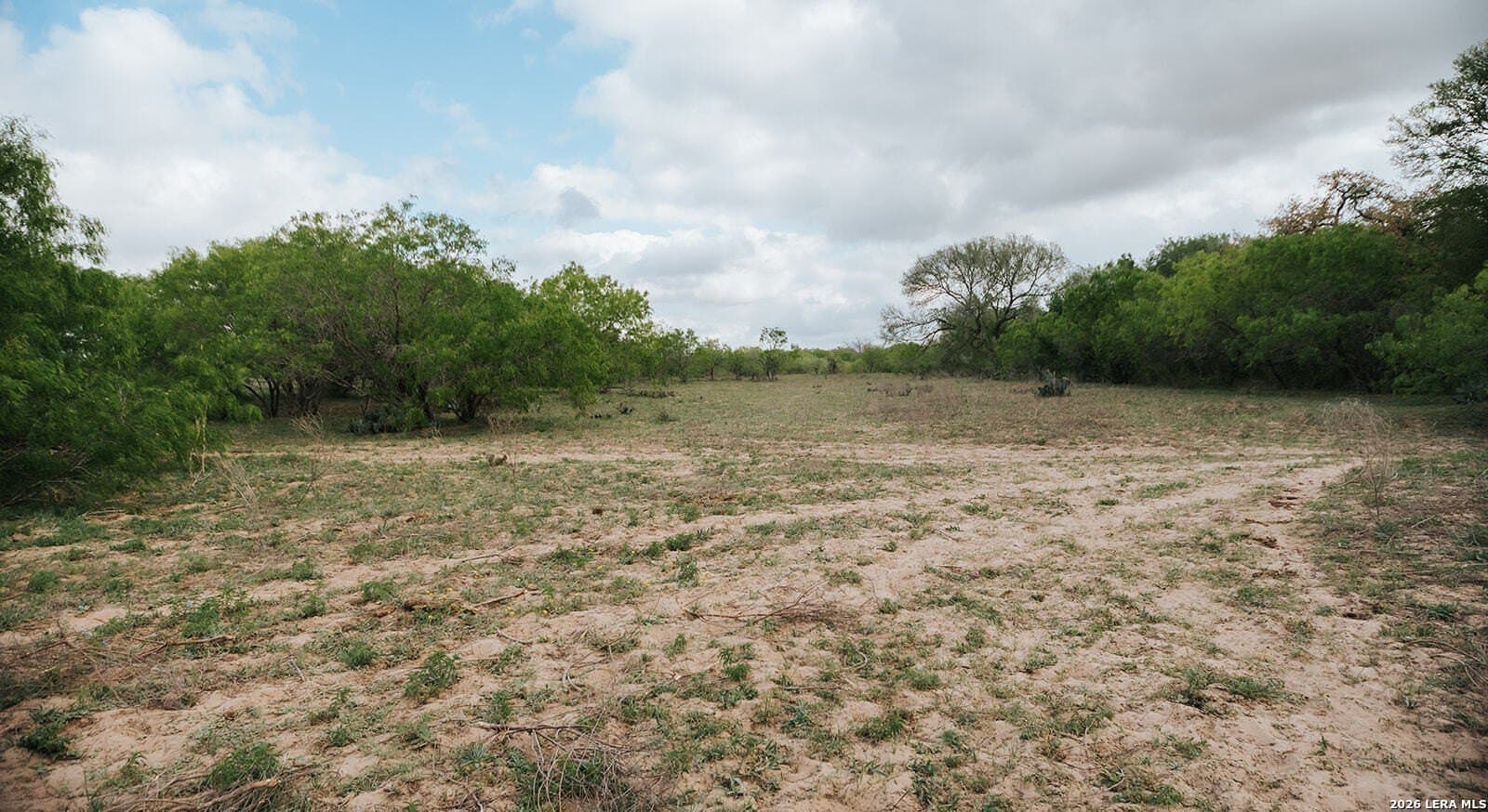 145.7 acres in Guadalupe County - photo 17