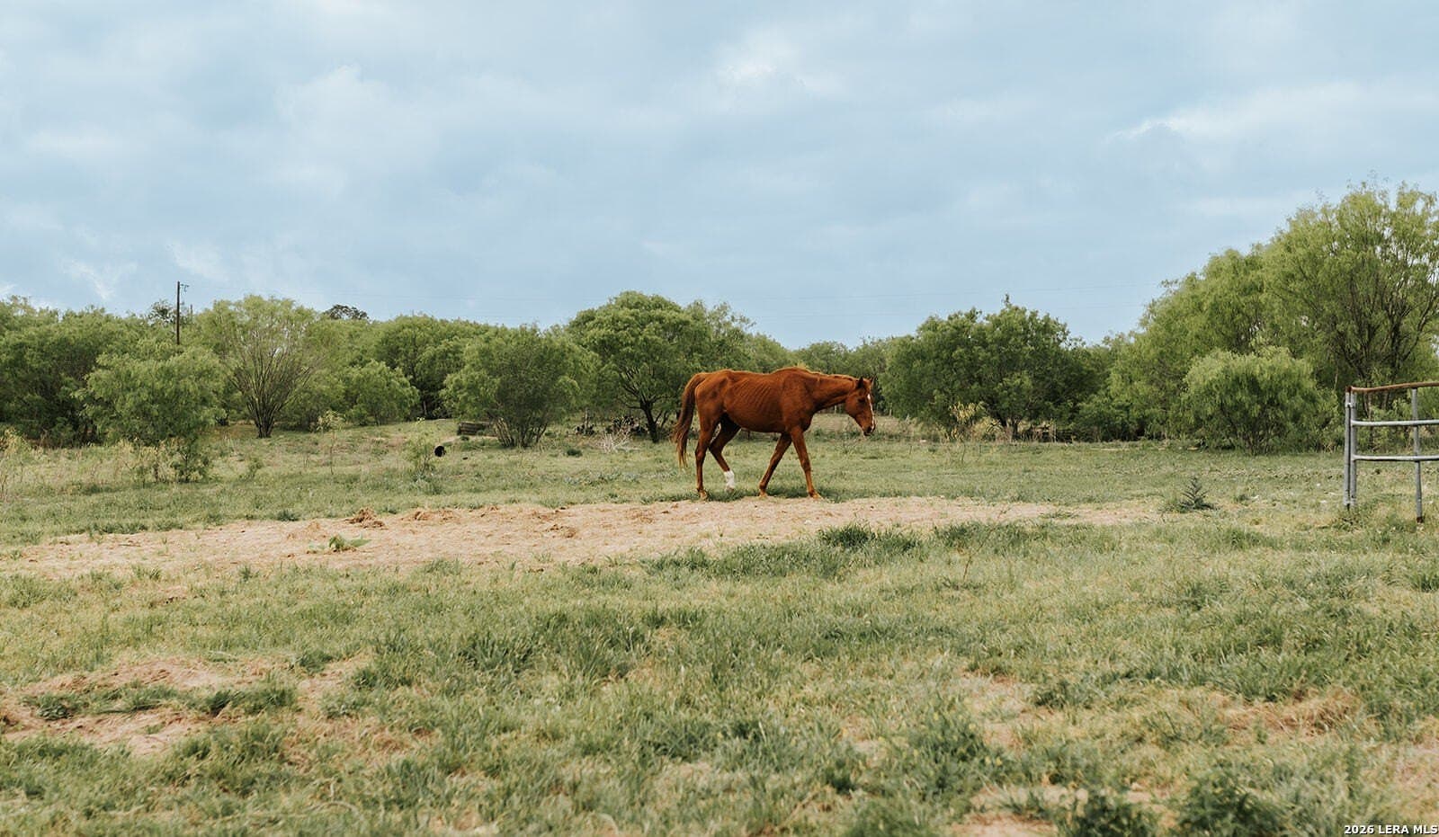 145.7 acres in Guadalupe County