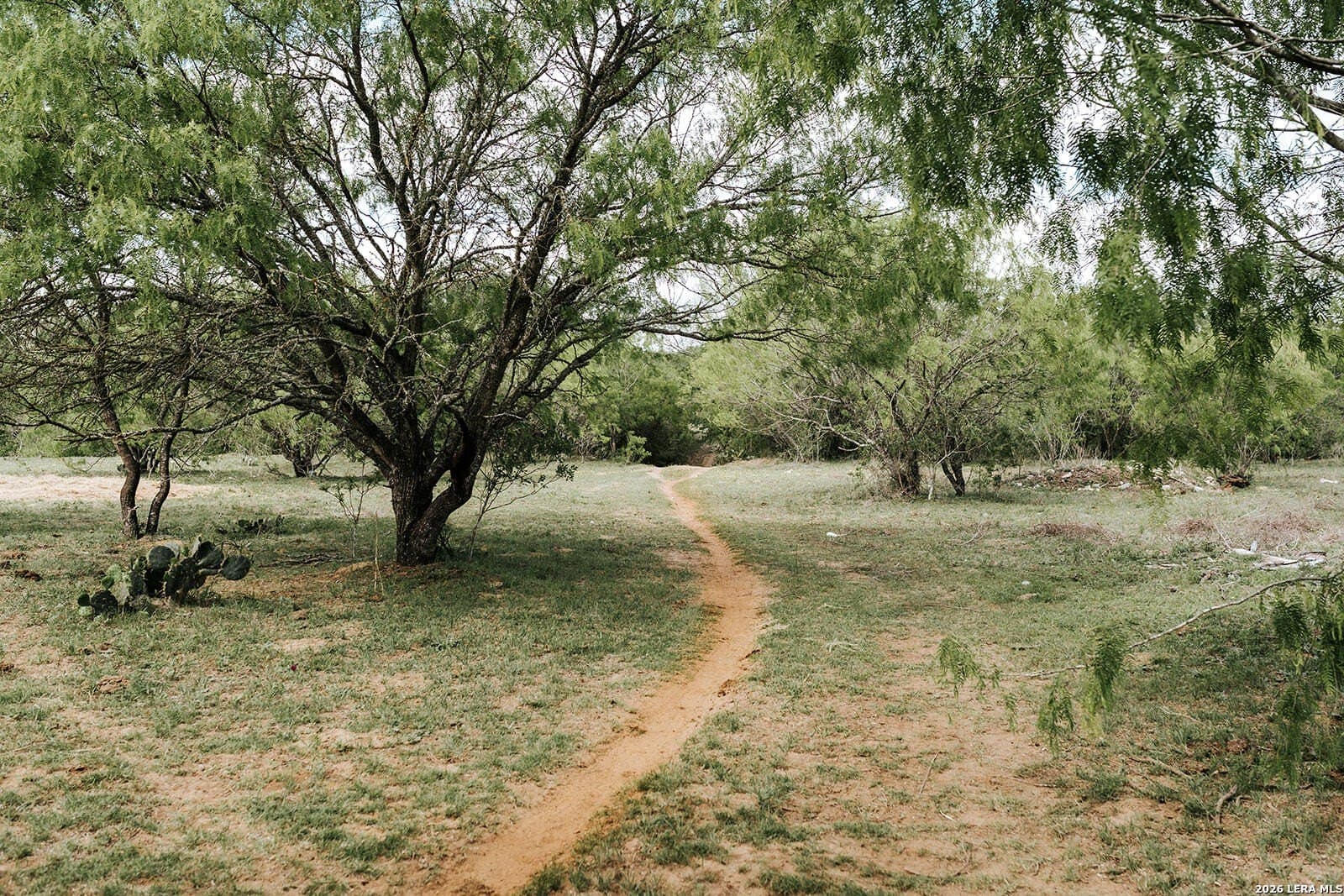 145.7 acres in Guadalupe County - photo 23