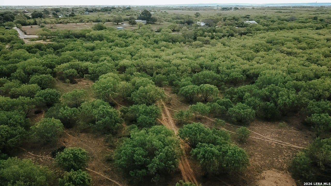 145.7 acres in Guadalupe County - photo 41