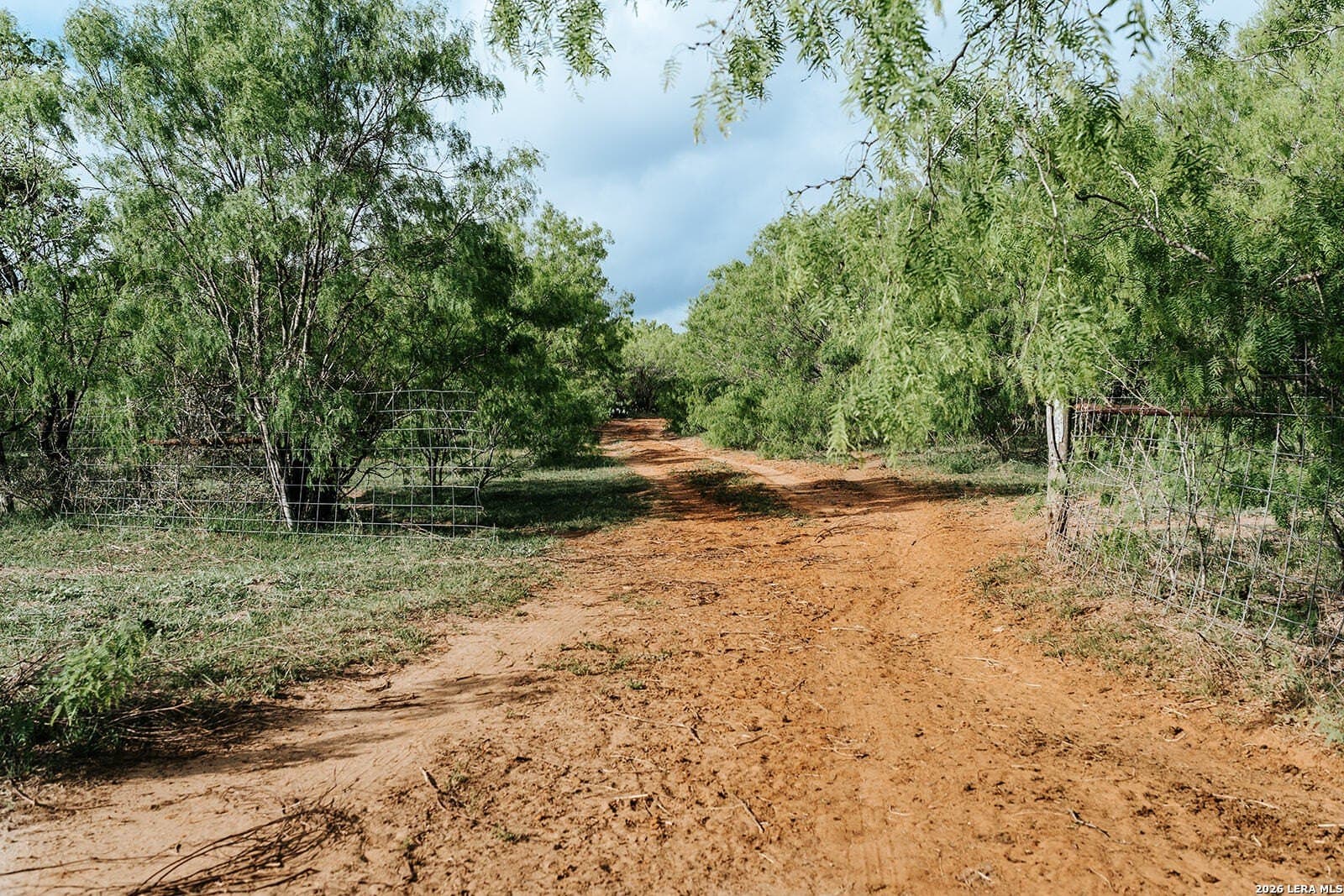 145.7 acres in Guadalupe County gallery image 2