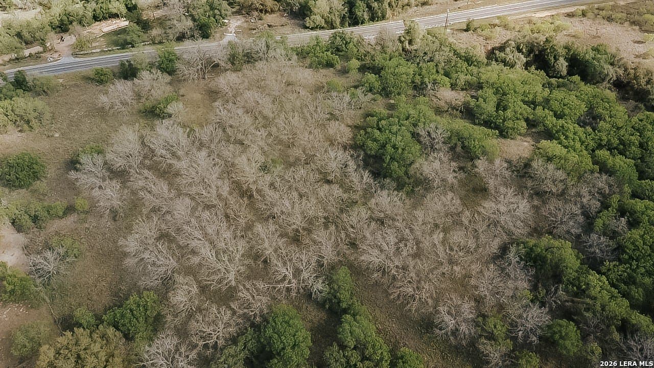 145.7 acres in Guadalupe County - photo 36