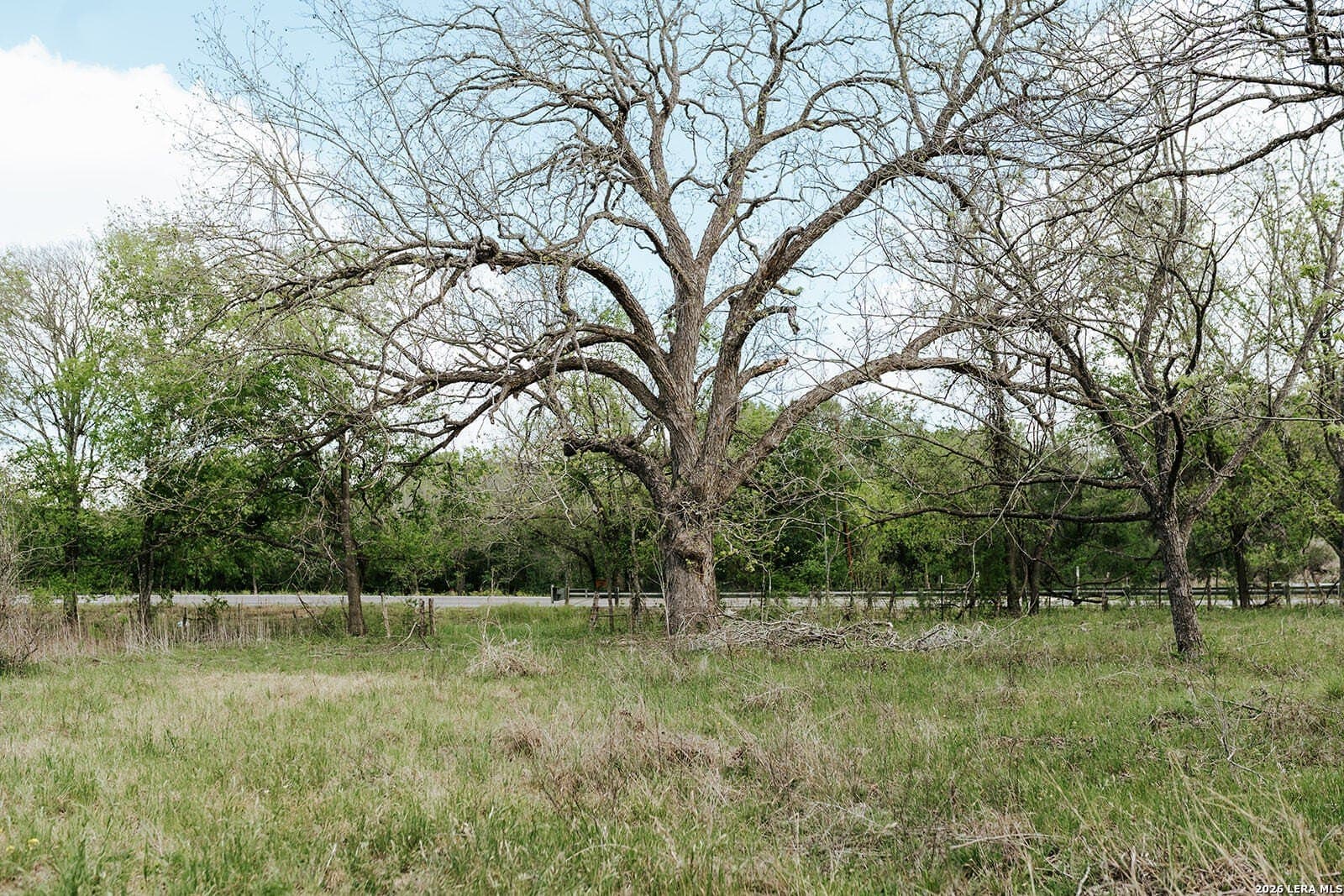 145.7 acres in Guadalupe County - photo 8
