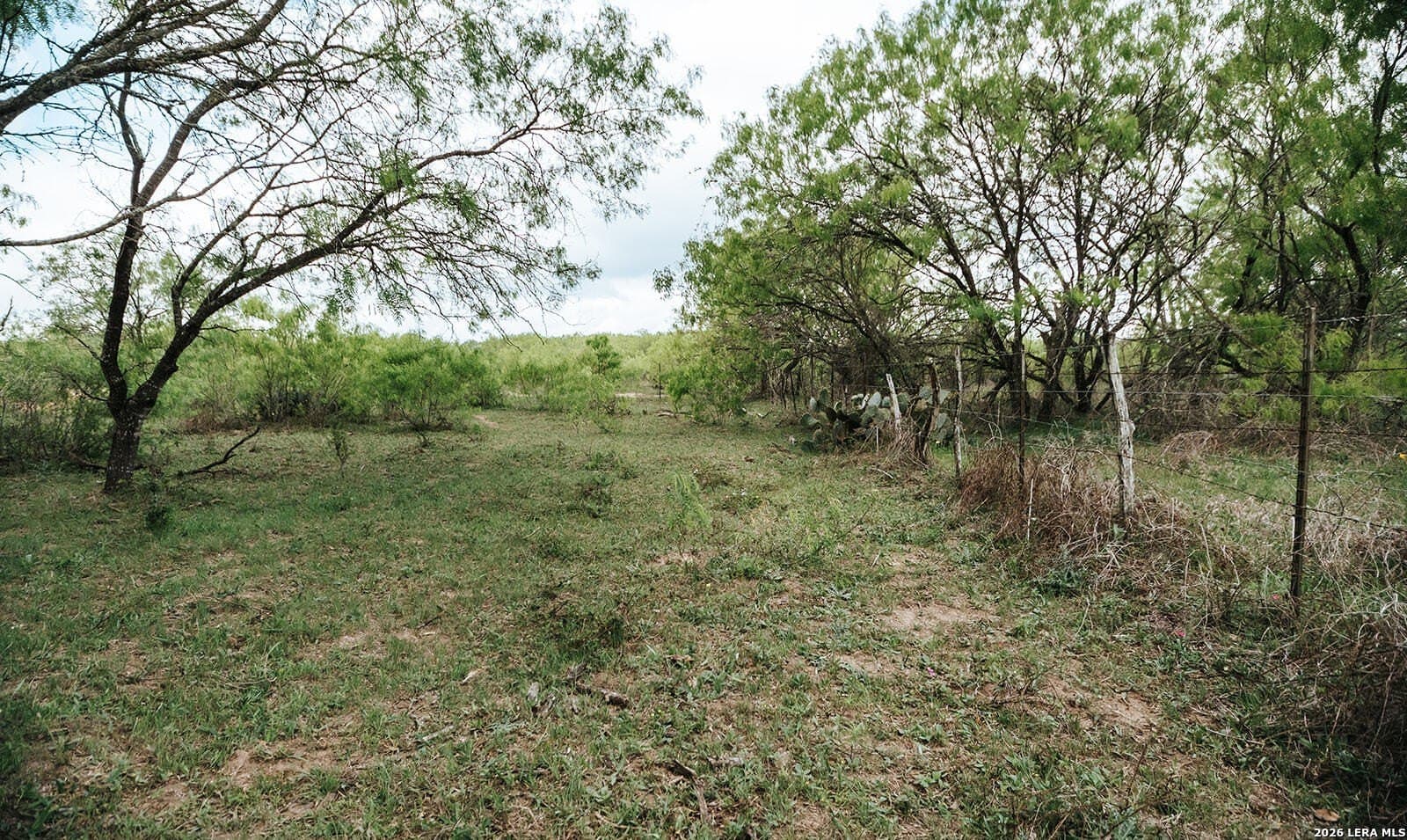 145.7 acres in Guadalupe County - photo 6