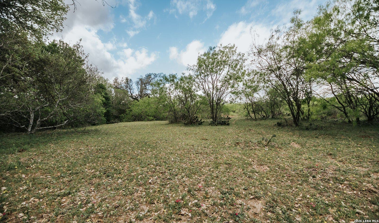 145.7 acres in Guadalupe County - photo 26
