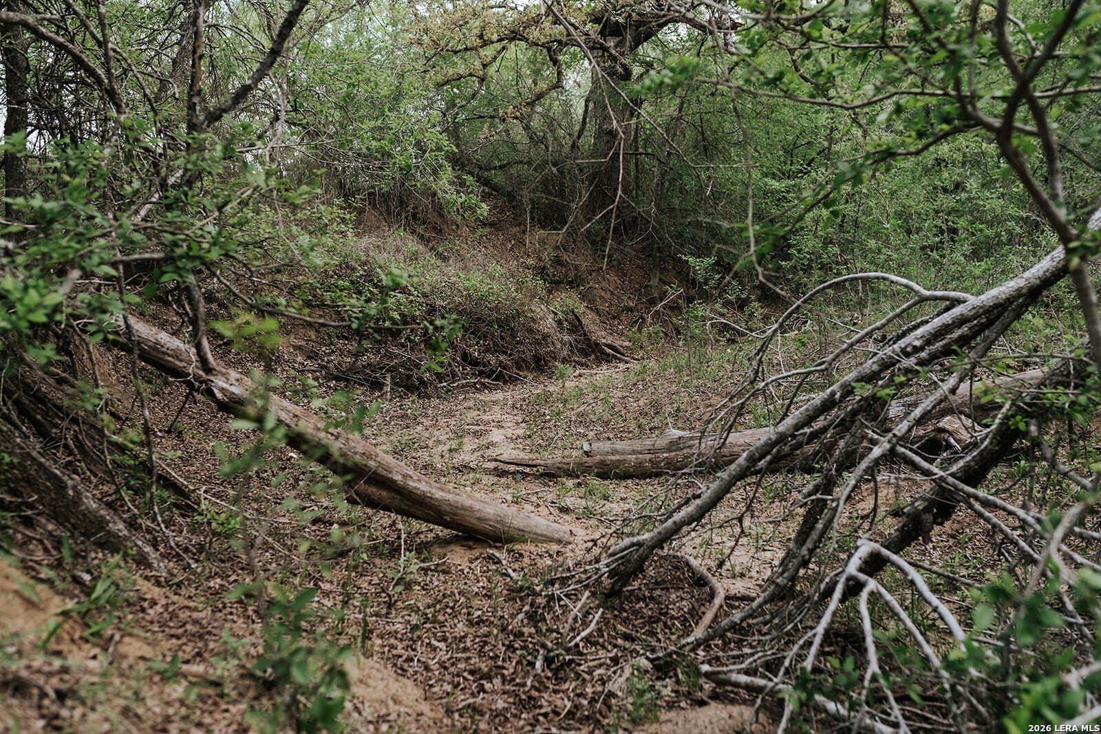 145.7 acres in Guadalupe County - photo 12