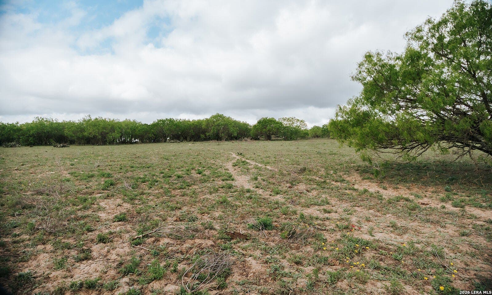 145.7 acres in Guadalupe County - photo 10