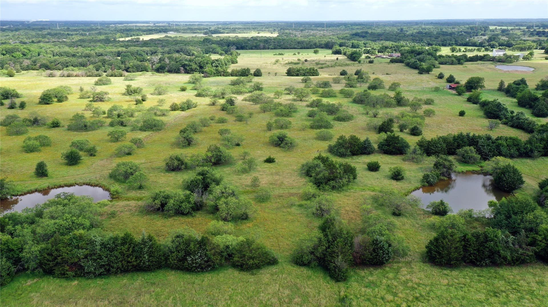 56 acres in Navarro County - photo 13