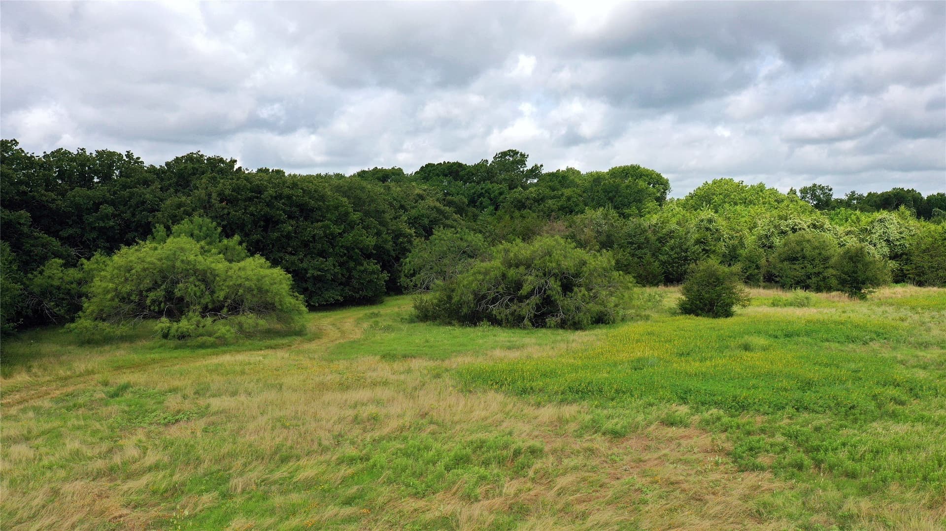 56 acres in Navarro County - photo 9