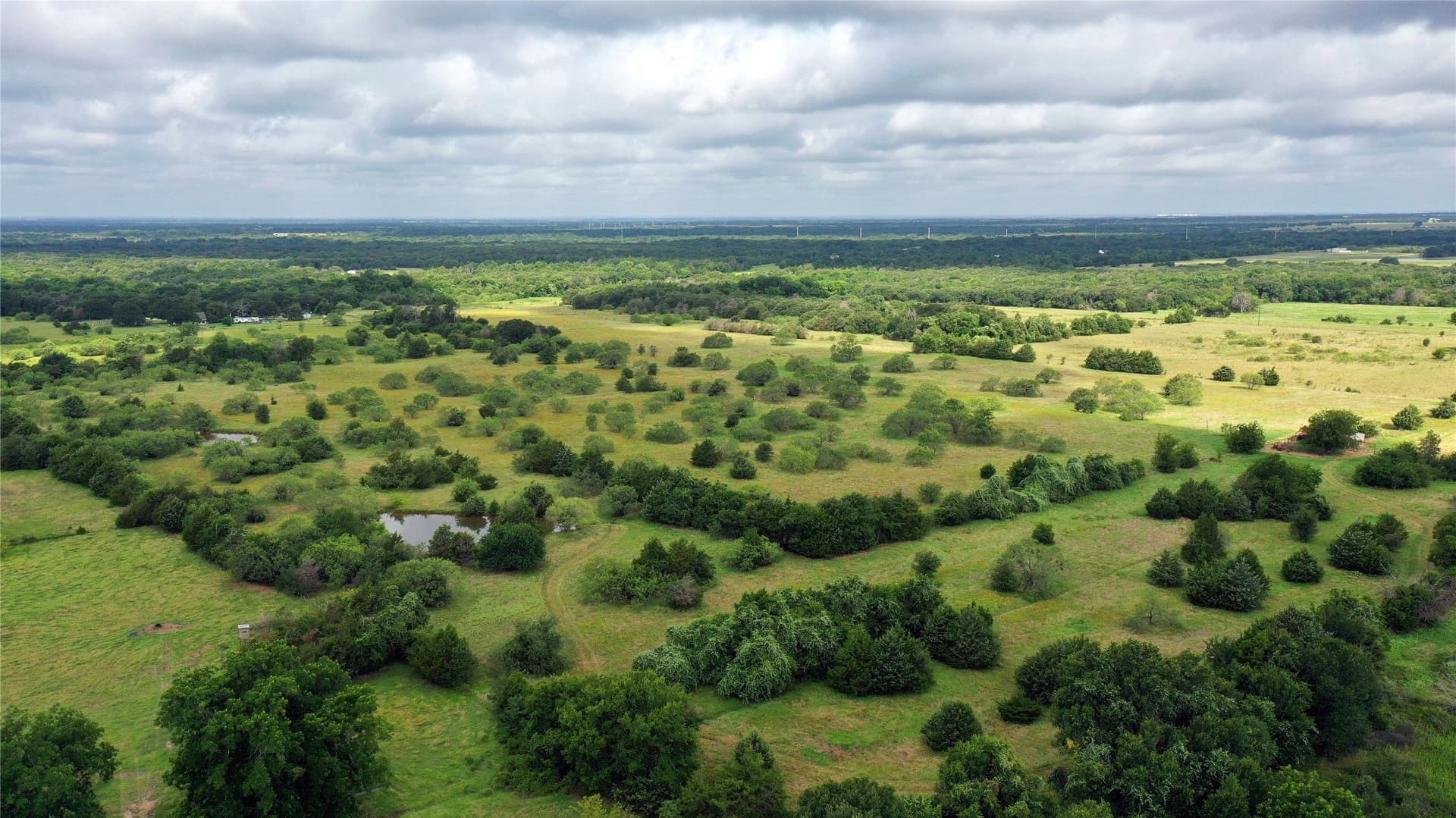 56 acres in Navarro County - photo 12