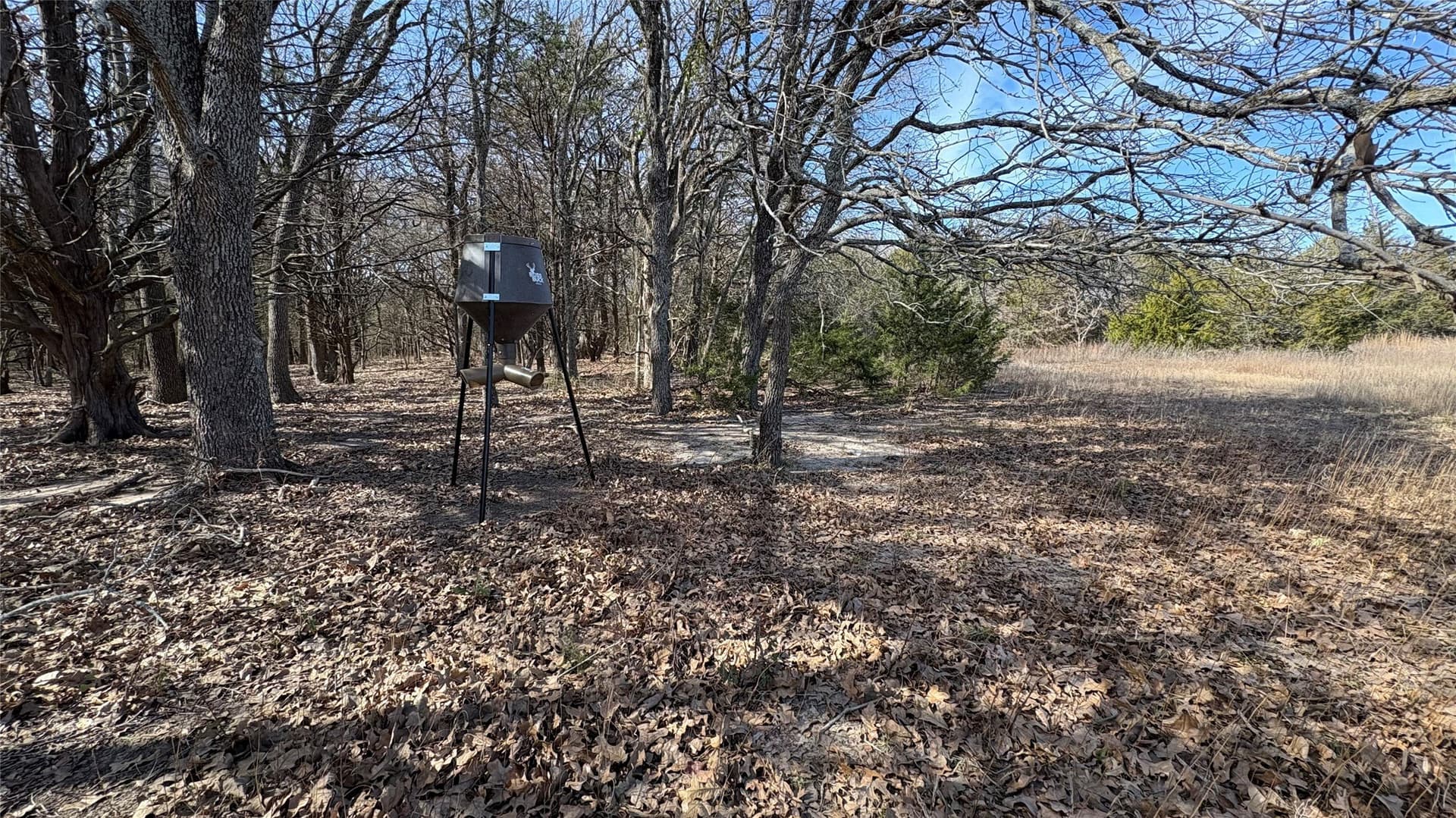 56 acres in Navarro County - photo 8