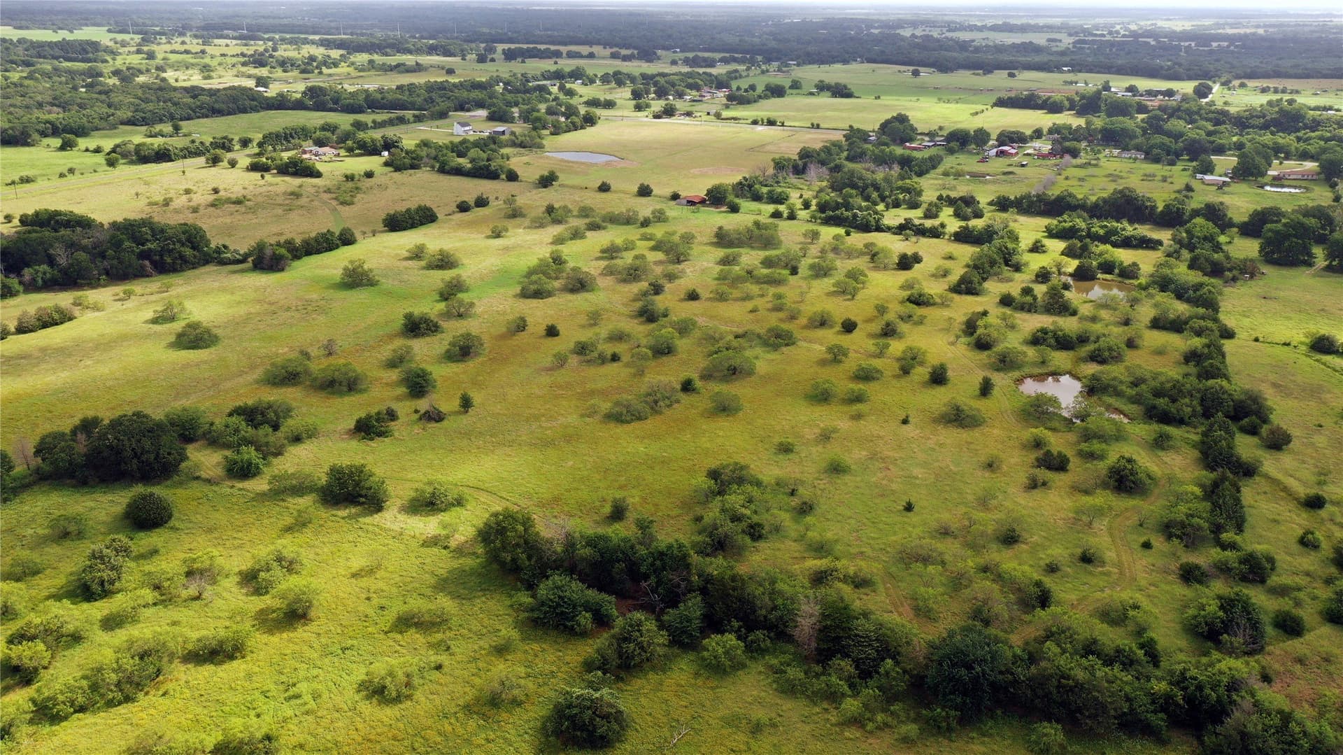 56 acres in Navarro County - photo 4