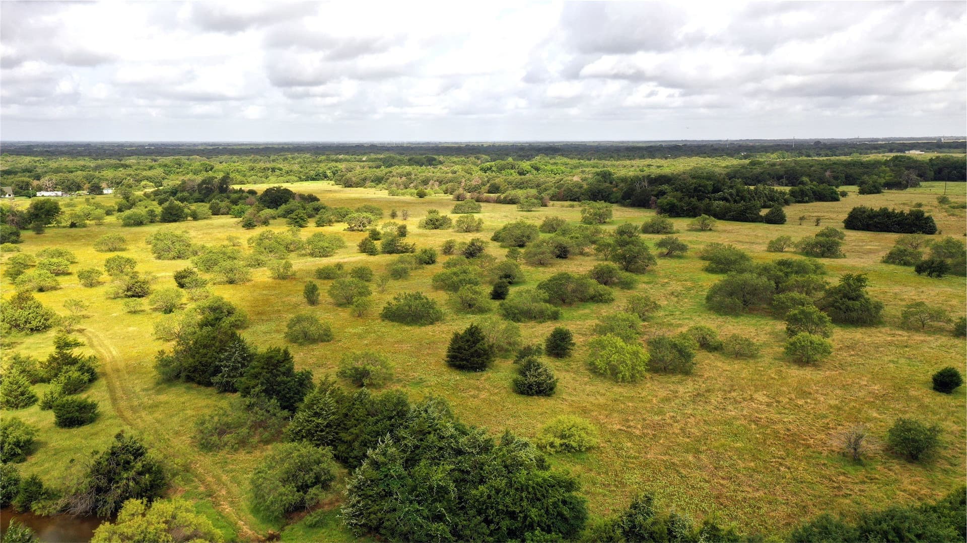 56 acres in Navarro County - photo 5