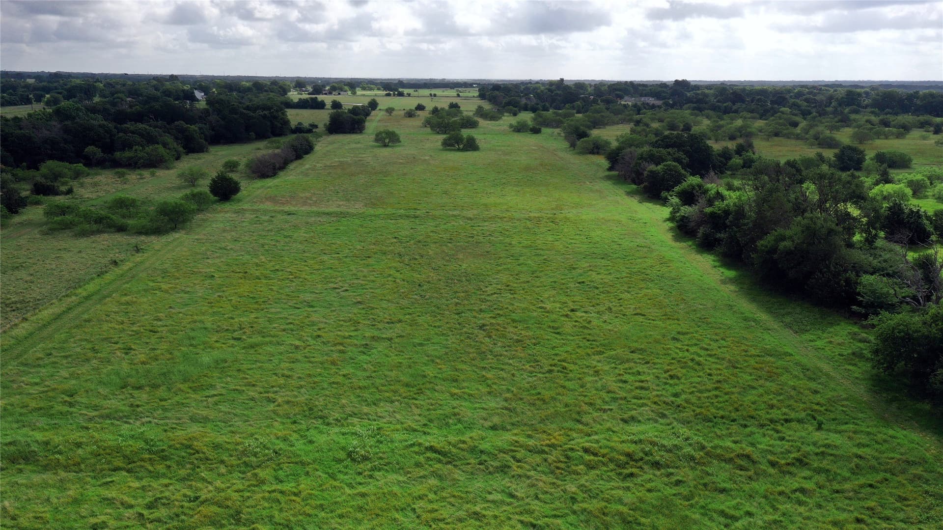 56 acres in Navarro County - photo 11