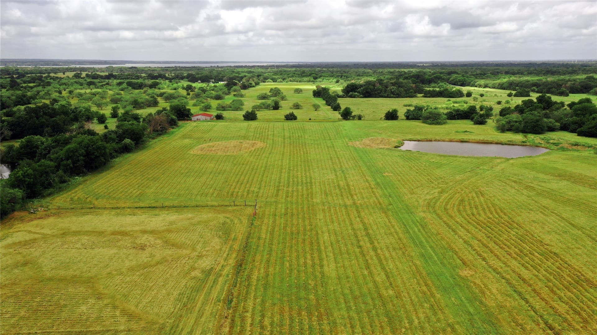56 acres in Navarro County - photo 3