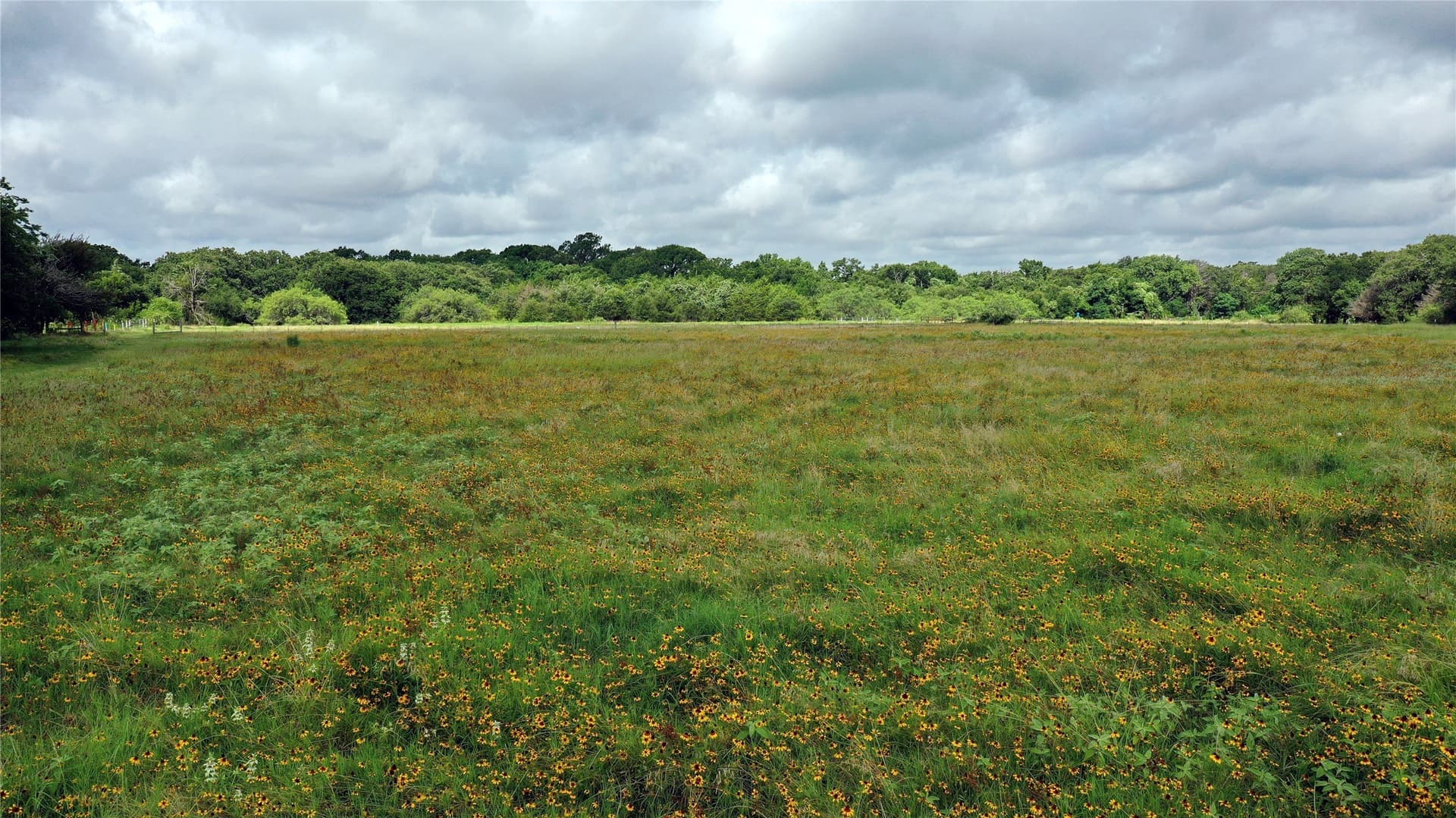 56 acres in Navarro County - photo 10
