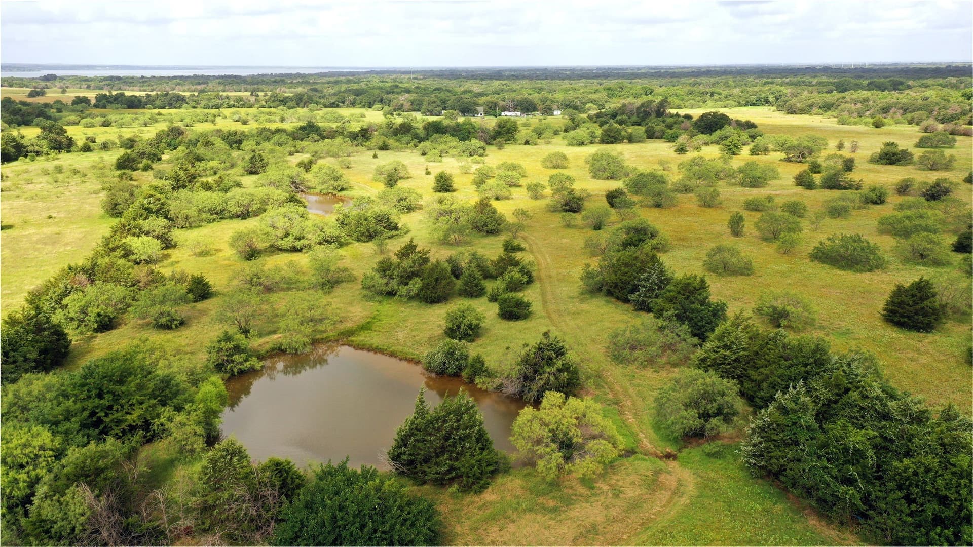 56 acres in Navarro County - photo 2