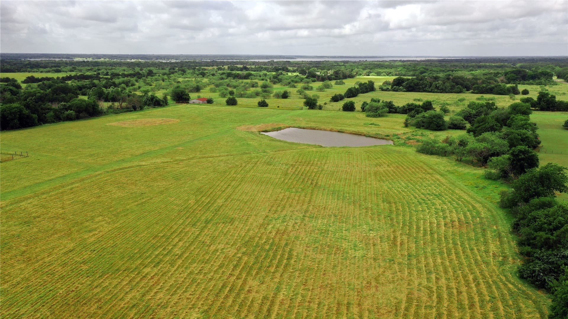 56 acres in Navarro County - photo 15