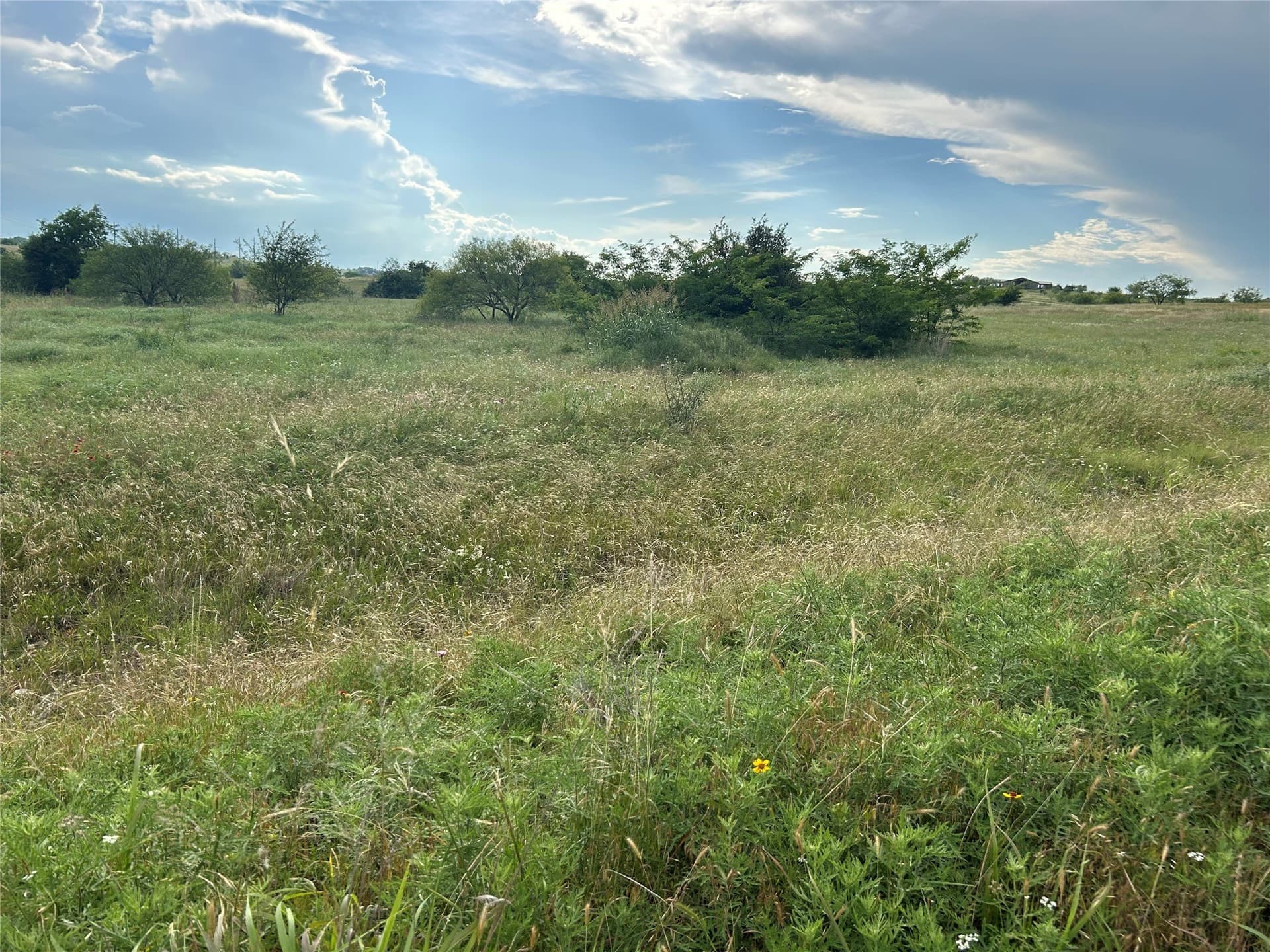 2.76 acres in Parker County gallery image 3