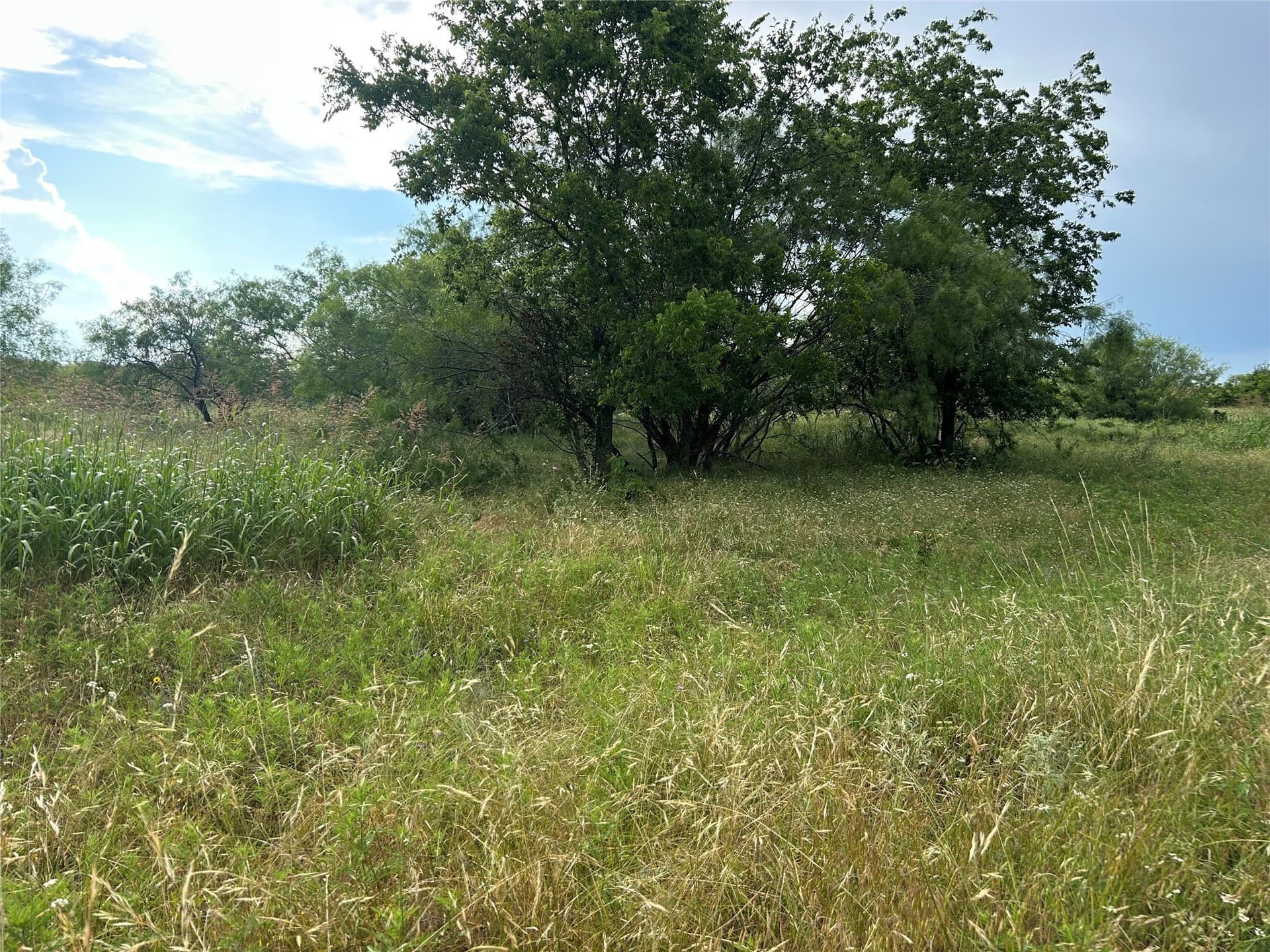 2.76 acres in Parker County - photo 6