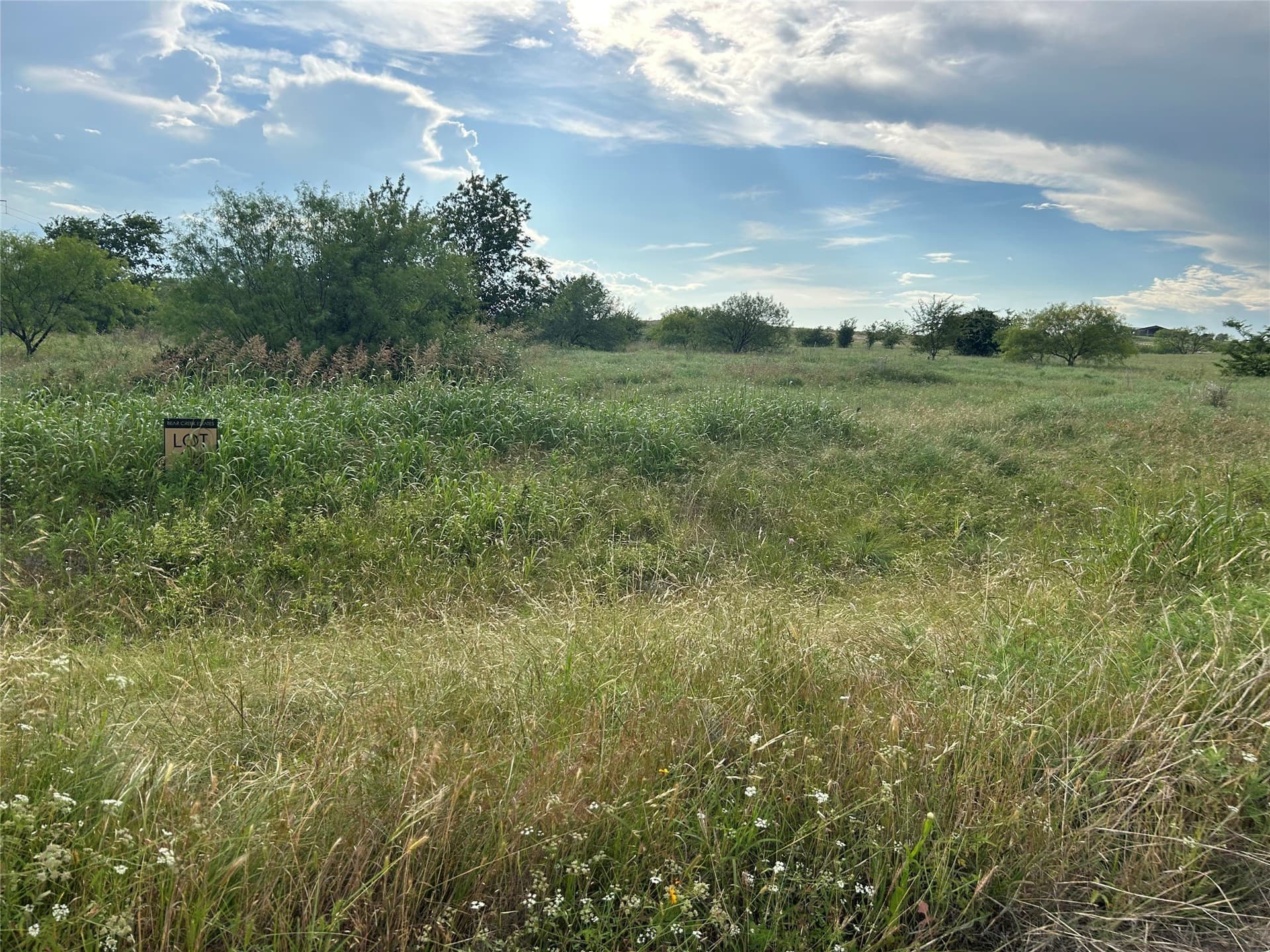 2.76 acres in Parker County gallery image 4