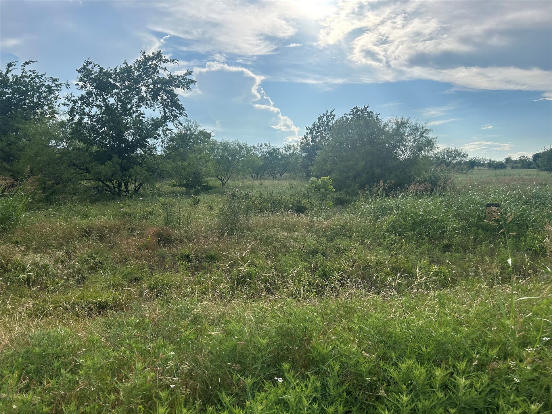 2.76 acres in Parker County - photo 7