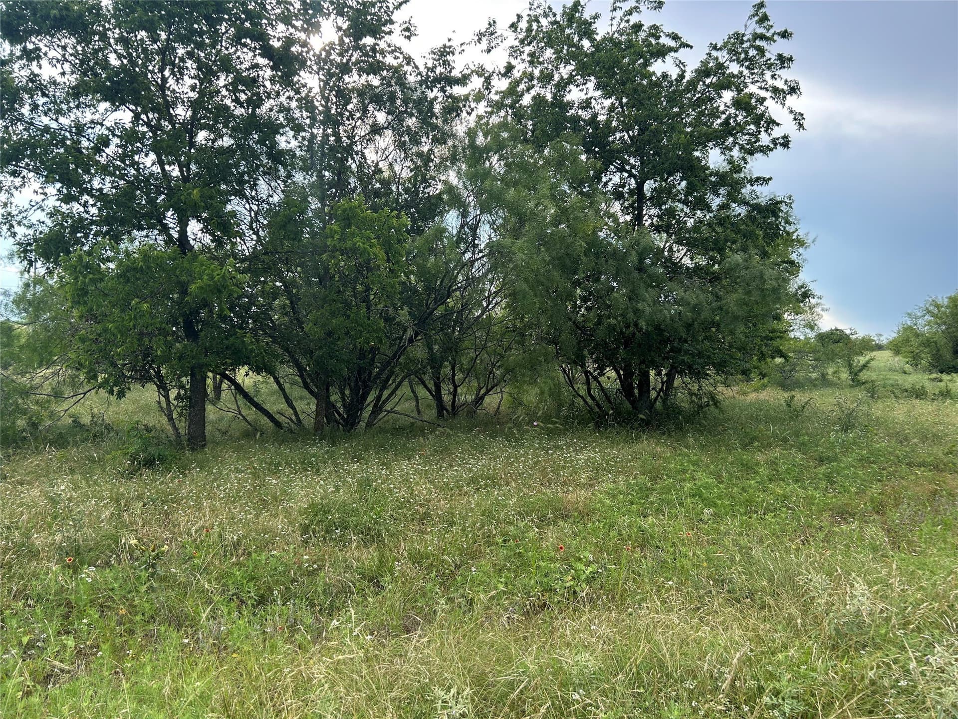 2.76 acres in Parker County featured view