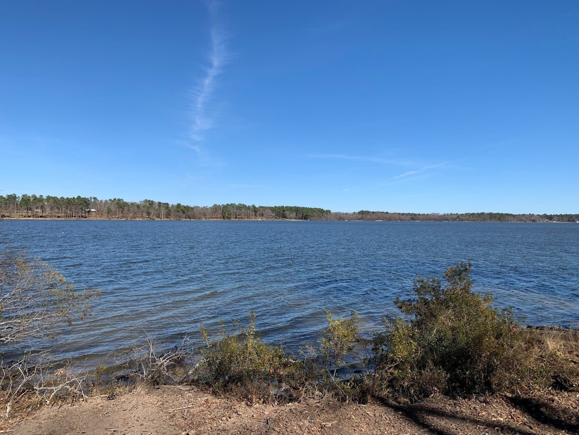 1.35 acres in Henderson County - photo 2