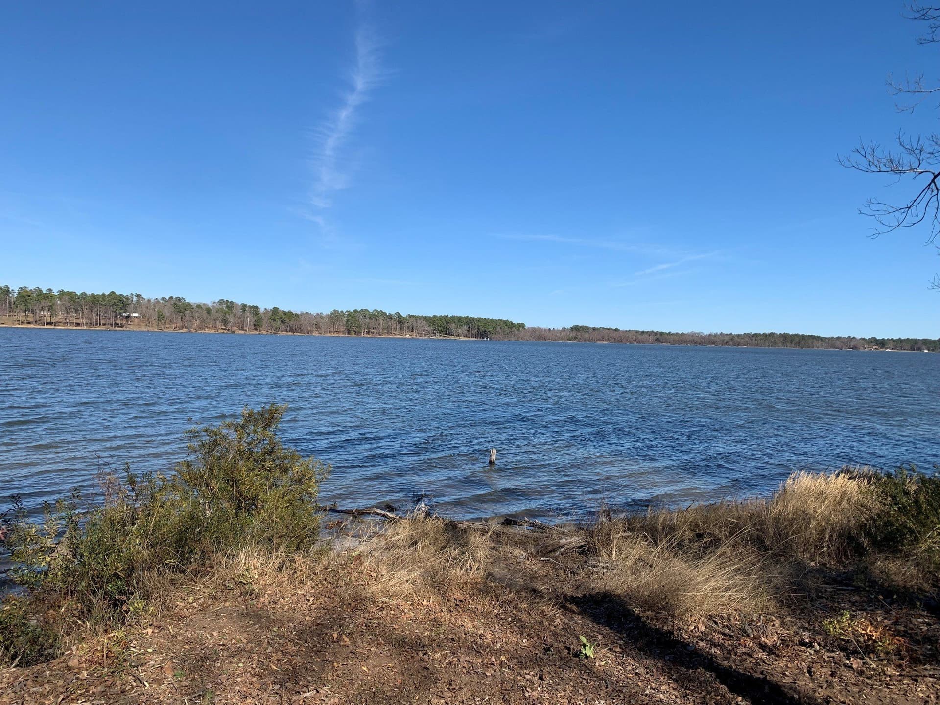 1.35 acres in Henderson County - photo 7