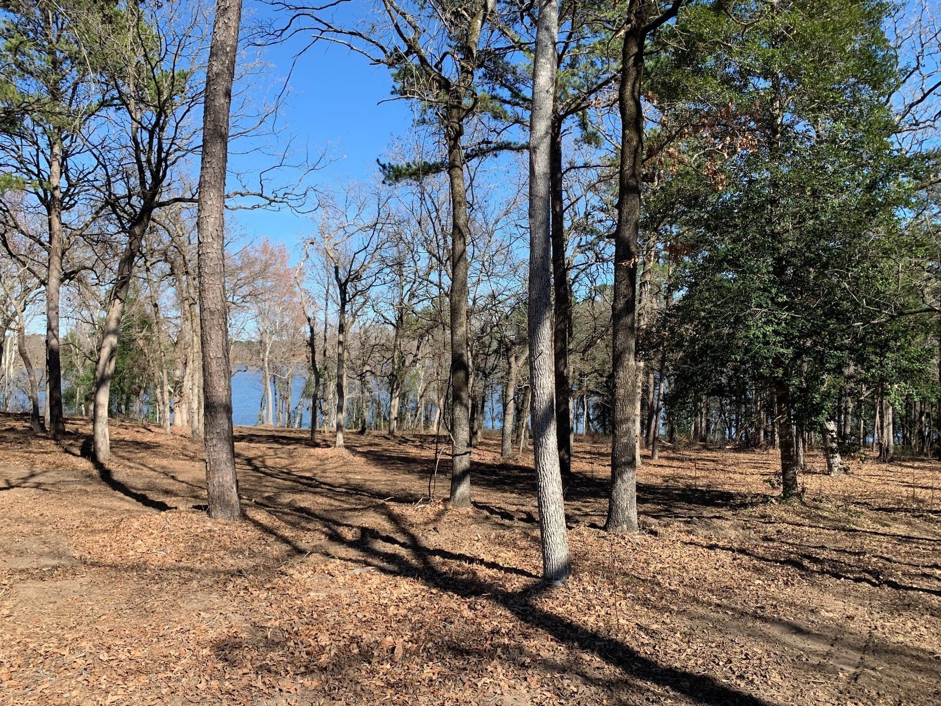 1.35 acres in Henderson County - photo 4