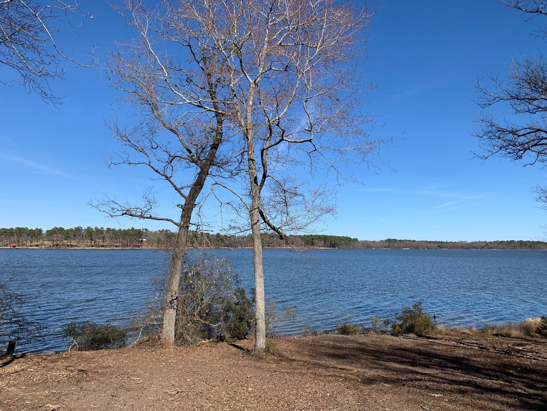 1.35 acres in Henderson County - photo 3