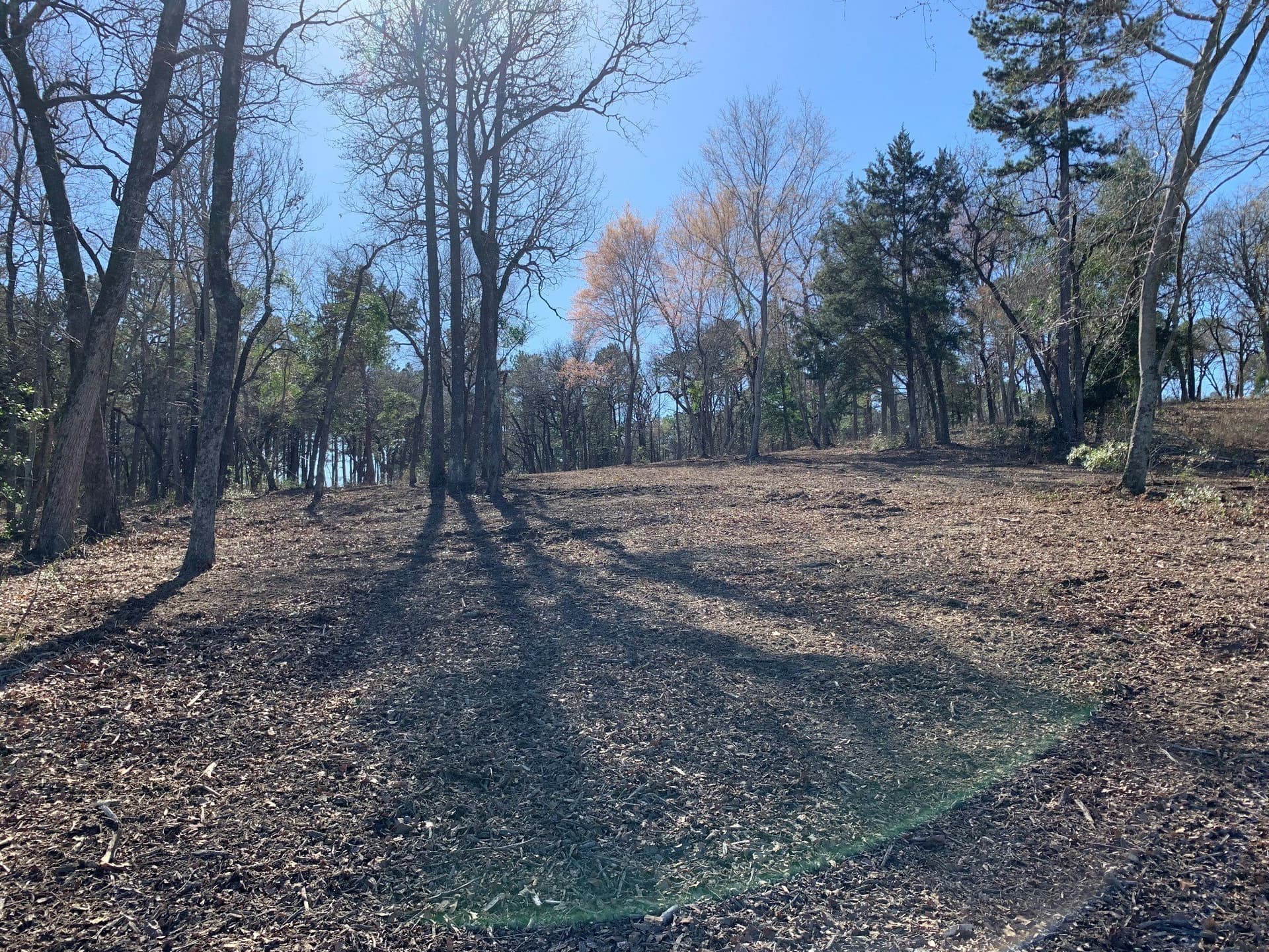 1.35 acres in Henderson County - photo 5