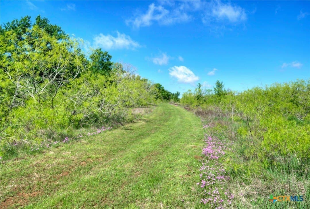 51.04 acres in Bastrop County - photo 26